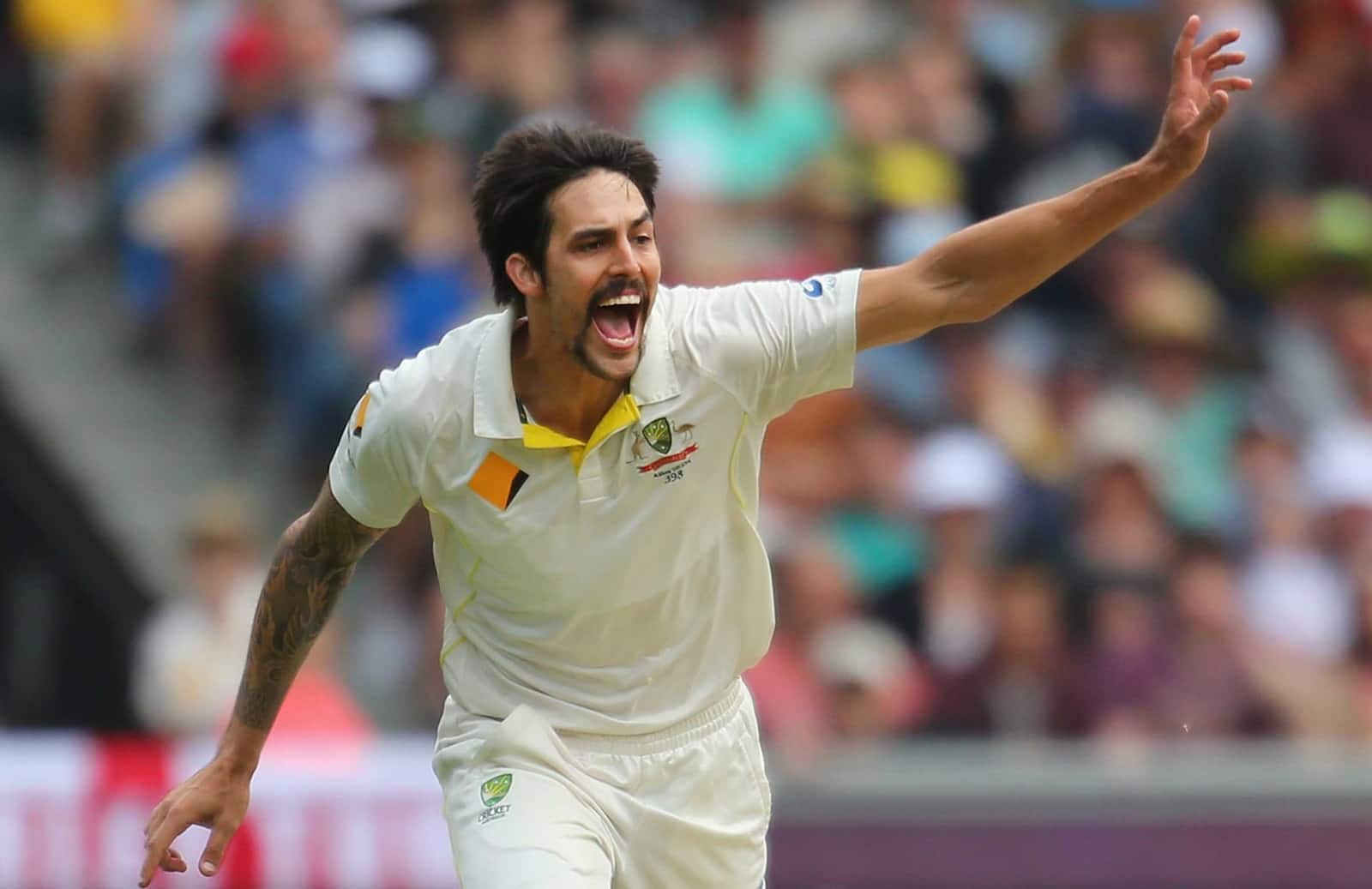 'It is a bit of a risk'- Mitchell Johnson on India picking four seamers for T20 WC