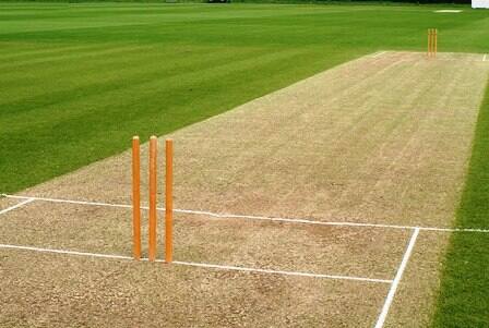 Cricket Tech Talk: Classification of Pitches around the world