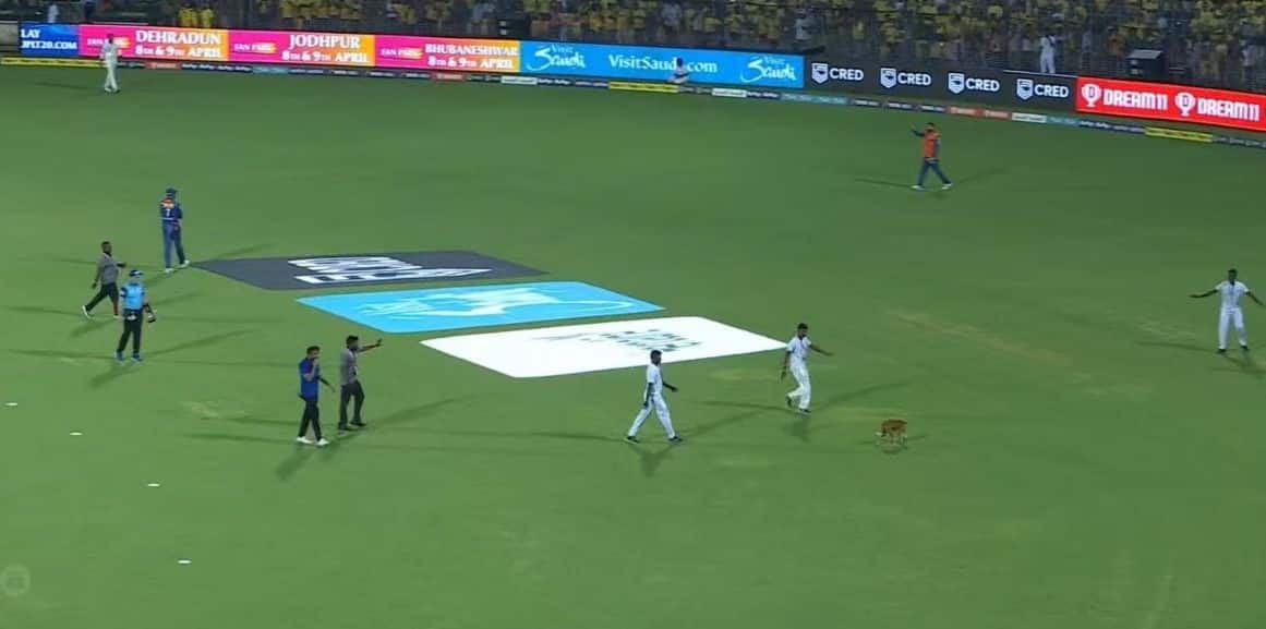 [Watch] Delayed Start for CSK vs LSG Game as Stray Dog Enters Playing Field