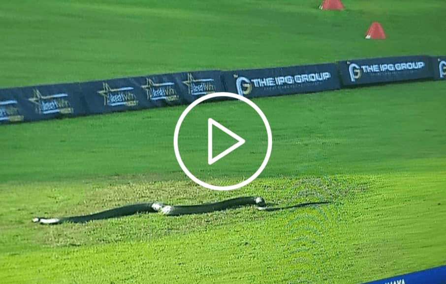 Watch: Snake trouble continues in LPL, pacer Isuru Udana makes