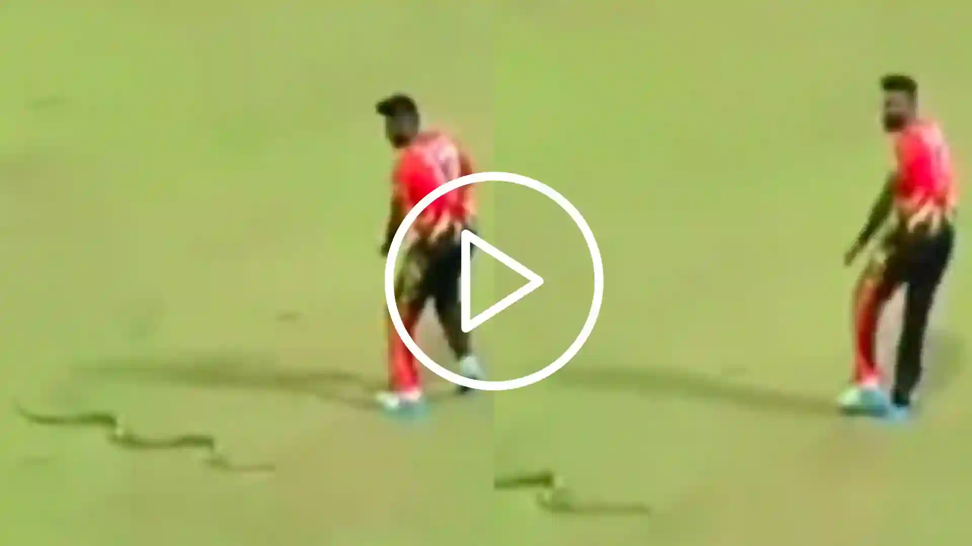 [Watch] Isuru Udana Makes Daring Escape As Snake Reappears in LPL 2023