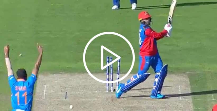 [Watch] Mohammed Shami's Stunning Hat-trick In World Cup 2019 On His 33rd Birthday