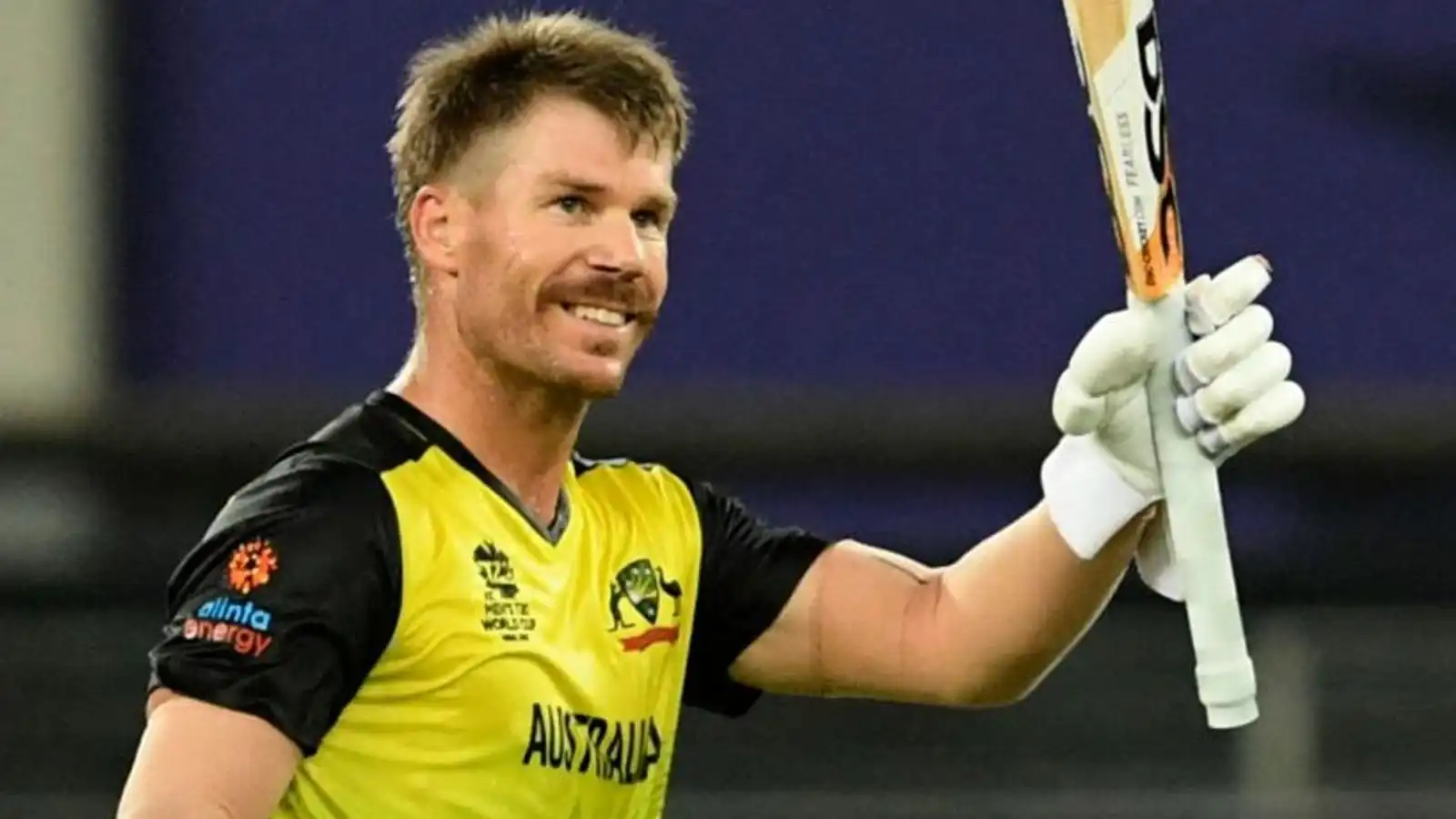 David Warner's ODI Records
