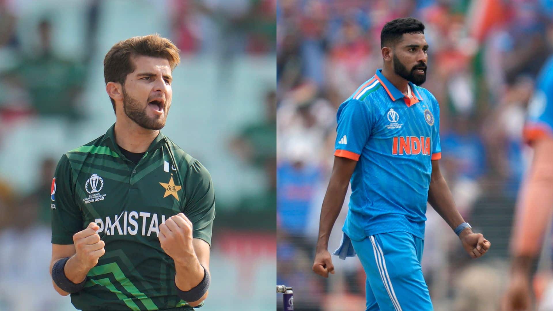 Shaheen Afridi Tops The ICC Rankings; Siraj Drops To Third; View The Full List
