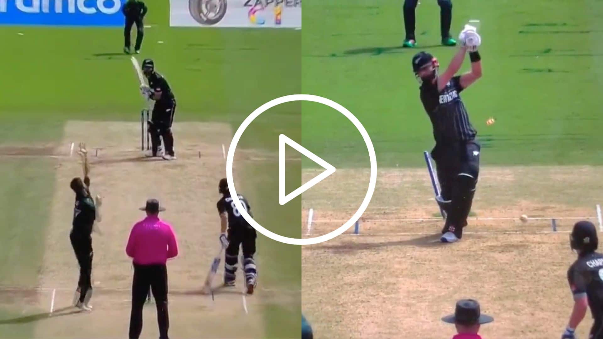 [Watch] Haris Rauf ‘Tears Apart’ Daryl Mitchell With A ‘Ferocious’ Peach Of A Delivery