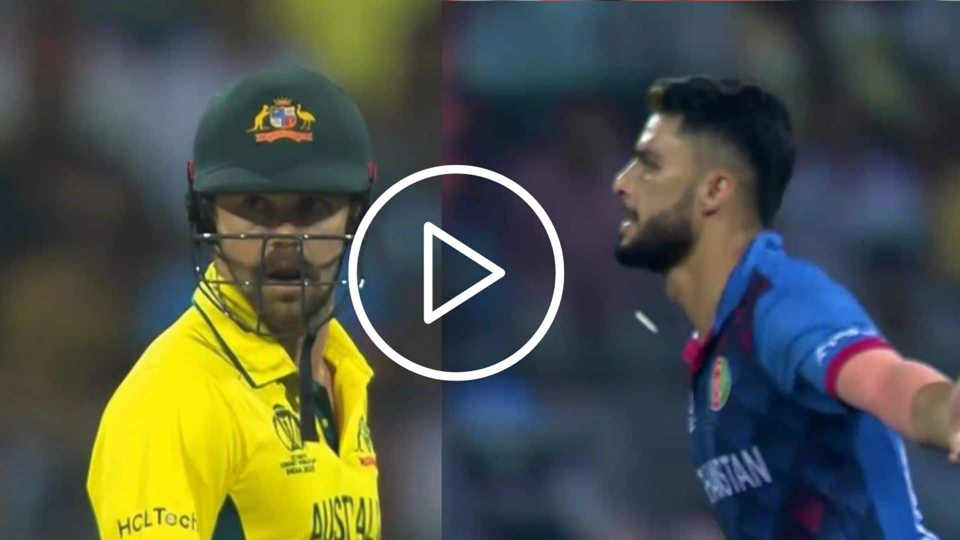 [Watch] Naveen ul-Haq Hands Travis Head A Duck With A Peach Of A Delivery