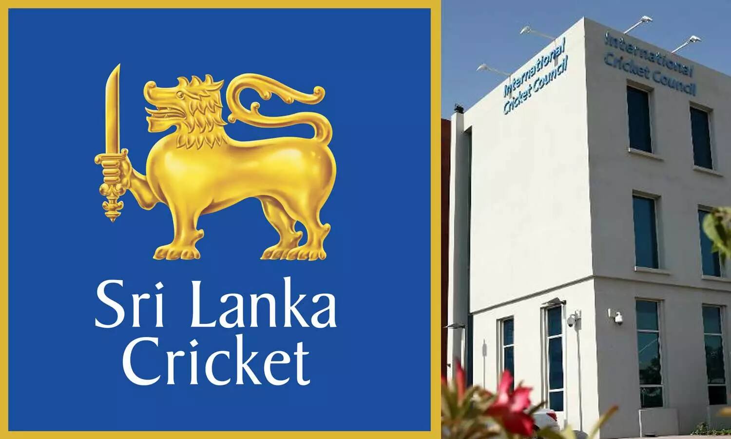 Sri Lanka Sports Minister Harin Fernando Reverses SLC Board's Dismissal