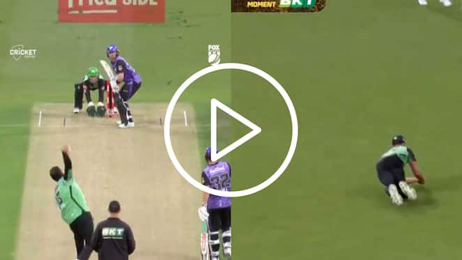 [Watch] Marcus Stoinis ‘Flies Like A Bird’ To Turn Usama Mir’s ‘Juicy Full-Toss’ Into Wicket