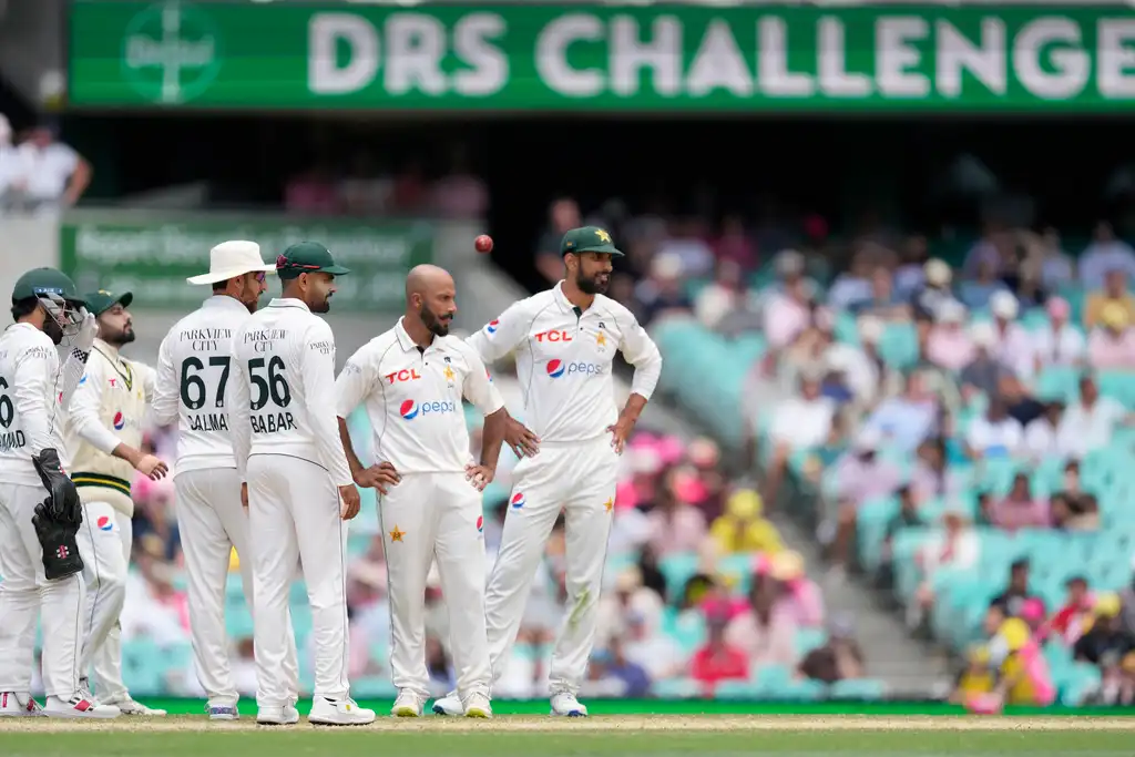 David Warner Gets Dream Farewell, Australia 'Whitewash' Pakistan At Home