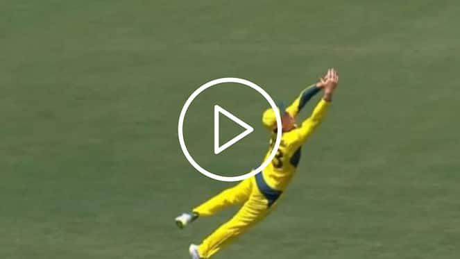 [Watch] Marnus Labuschagne Grabs A Stunner To Hand Lance Morris His First ODI Wicket