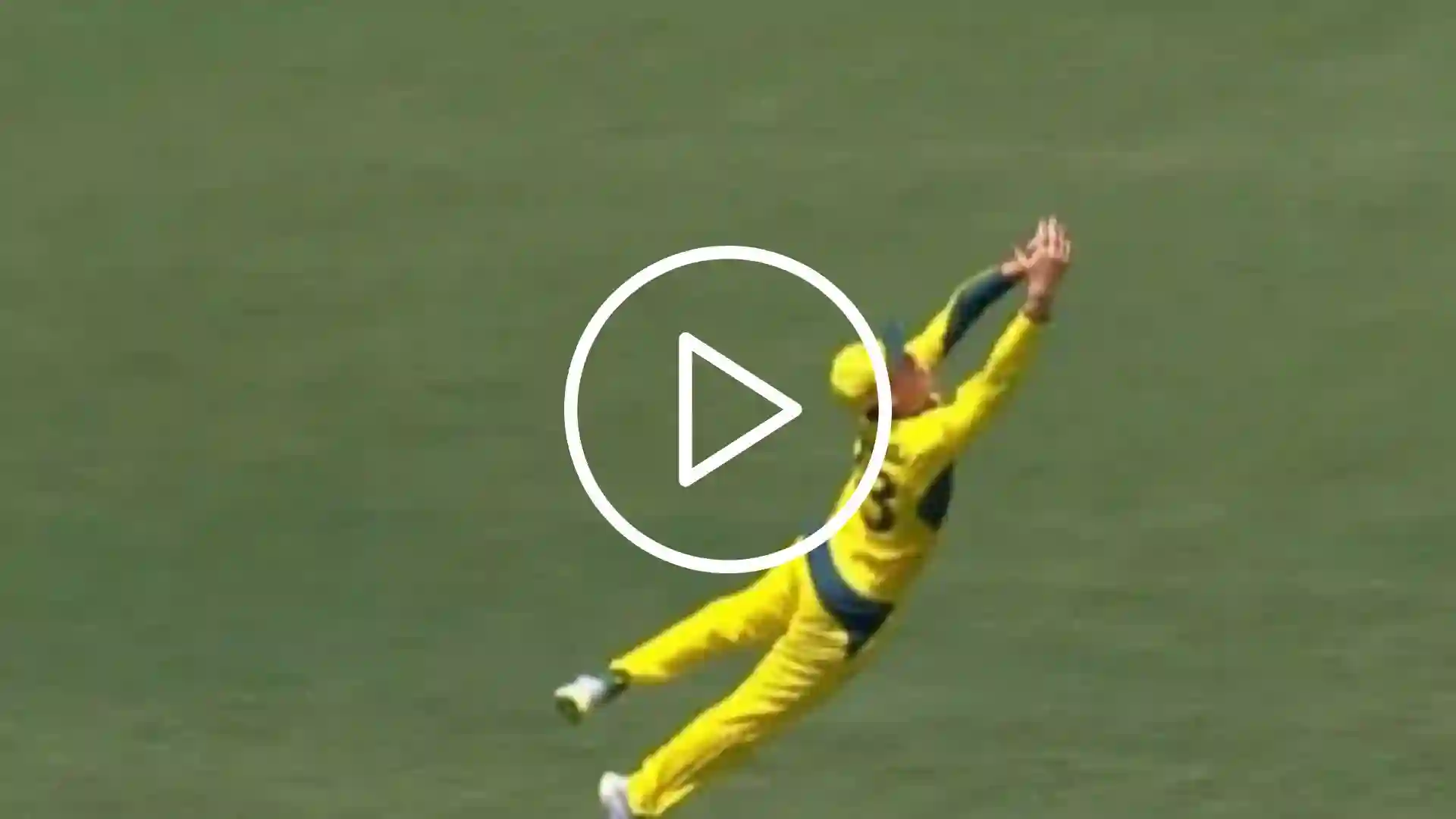 [Watch] Marnus Labuschagne Grabs A Stunner To Hand Lance Morris His First ODI Wicket