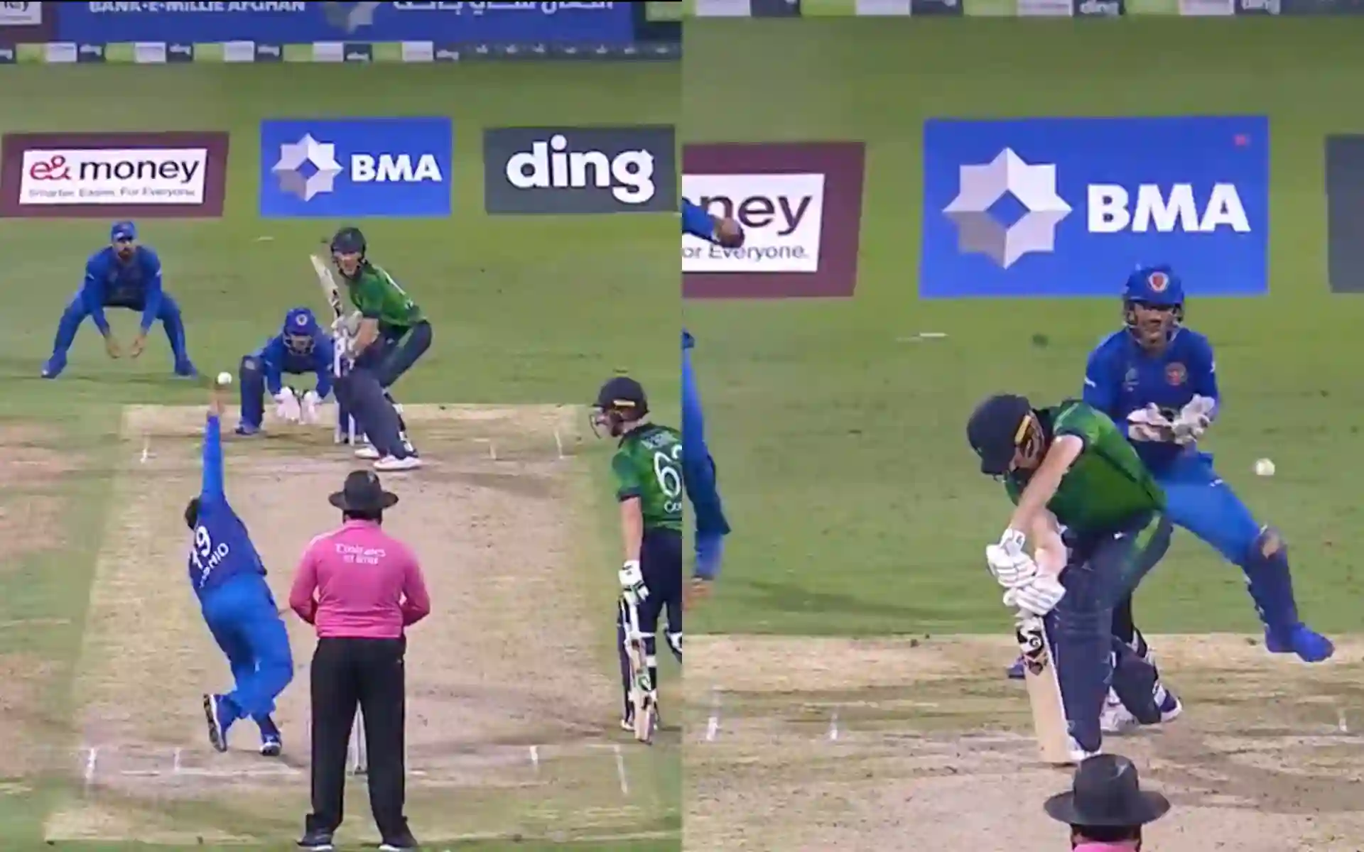 Rashid Khan cleaning up Harry Tector (X.com)