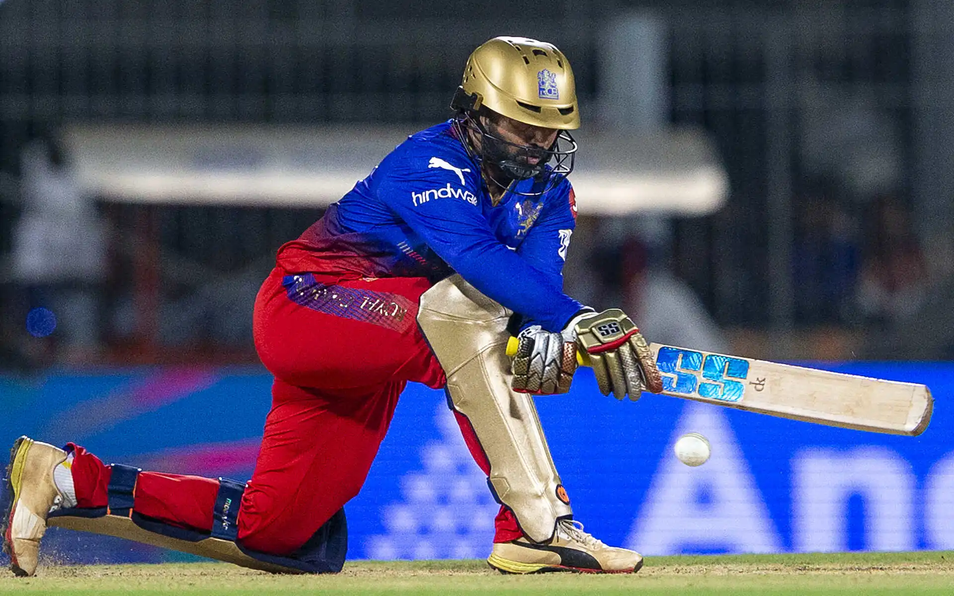 Dinesh Karthik has been RCB's mainstay (Source: IPL)