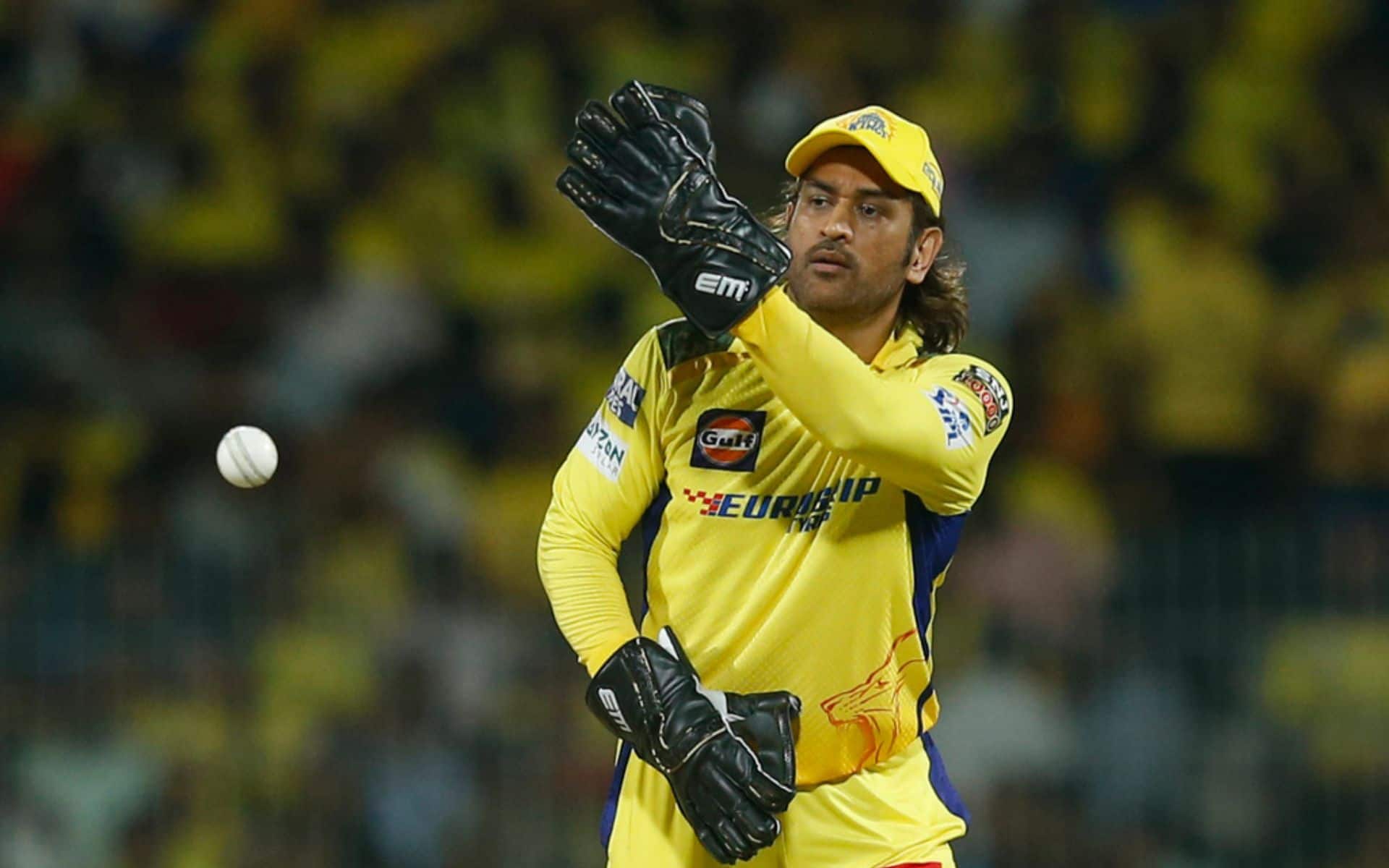 MS Dhoni keeping for CSK in IPL 2024 (AP Photo)