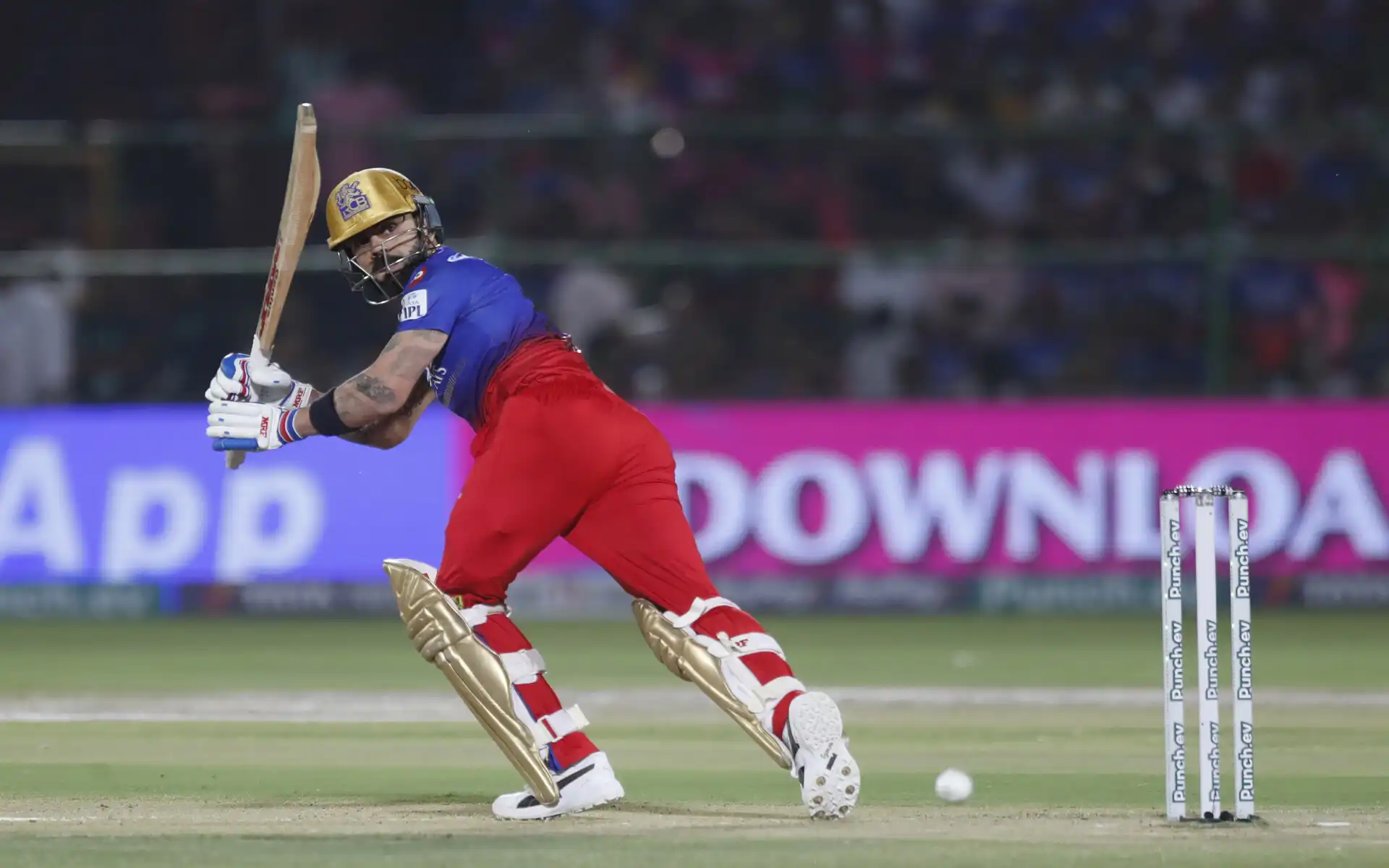 Virat Kohli in full flow (Source: AP Photo)