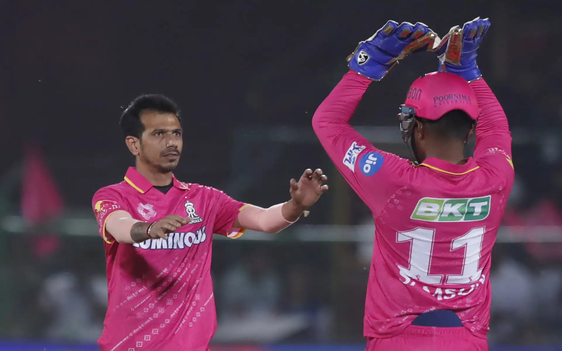 Yuzi Chahal among the wickets (Source: AP Photo)