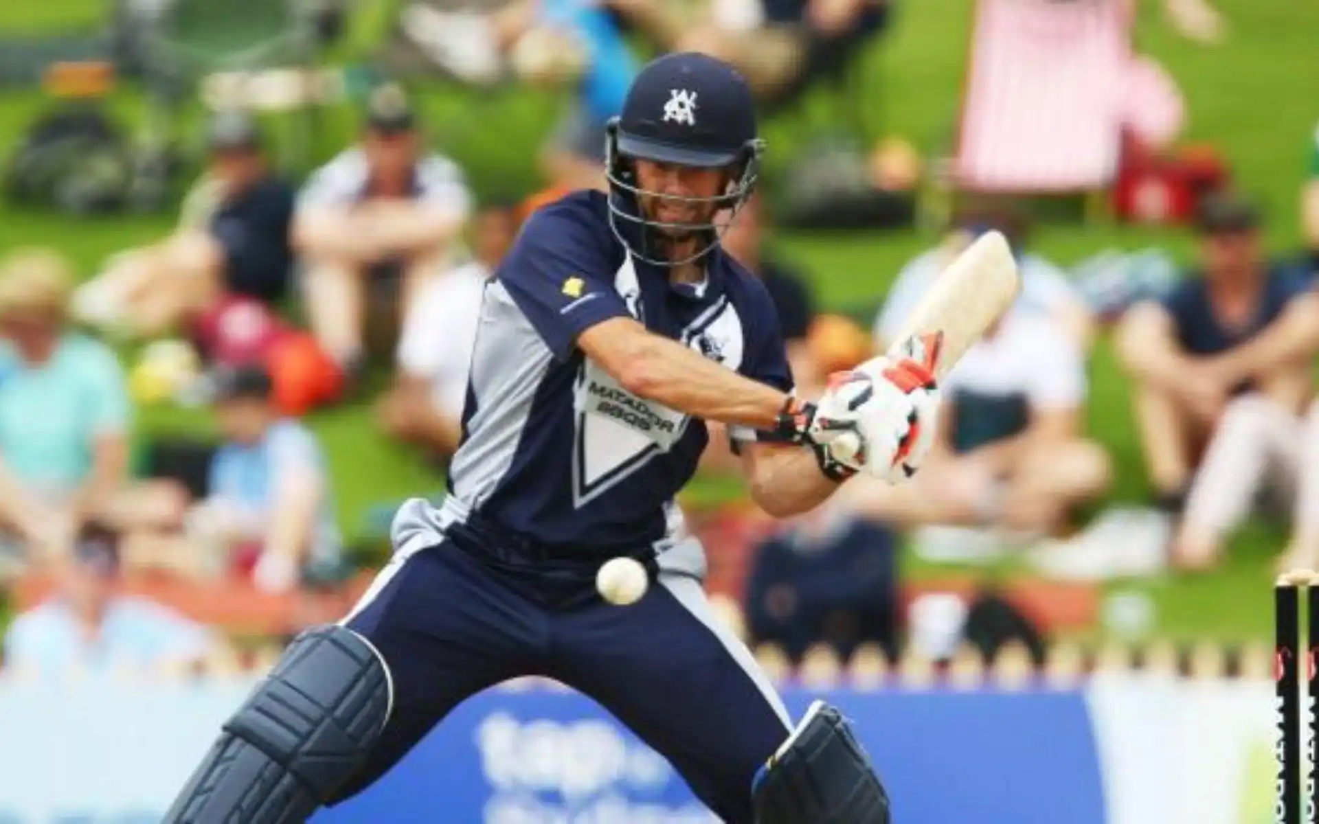 Rob Quiney (x.com)