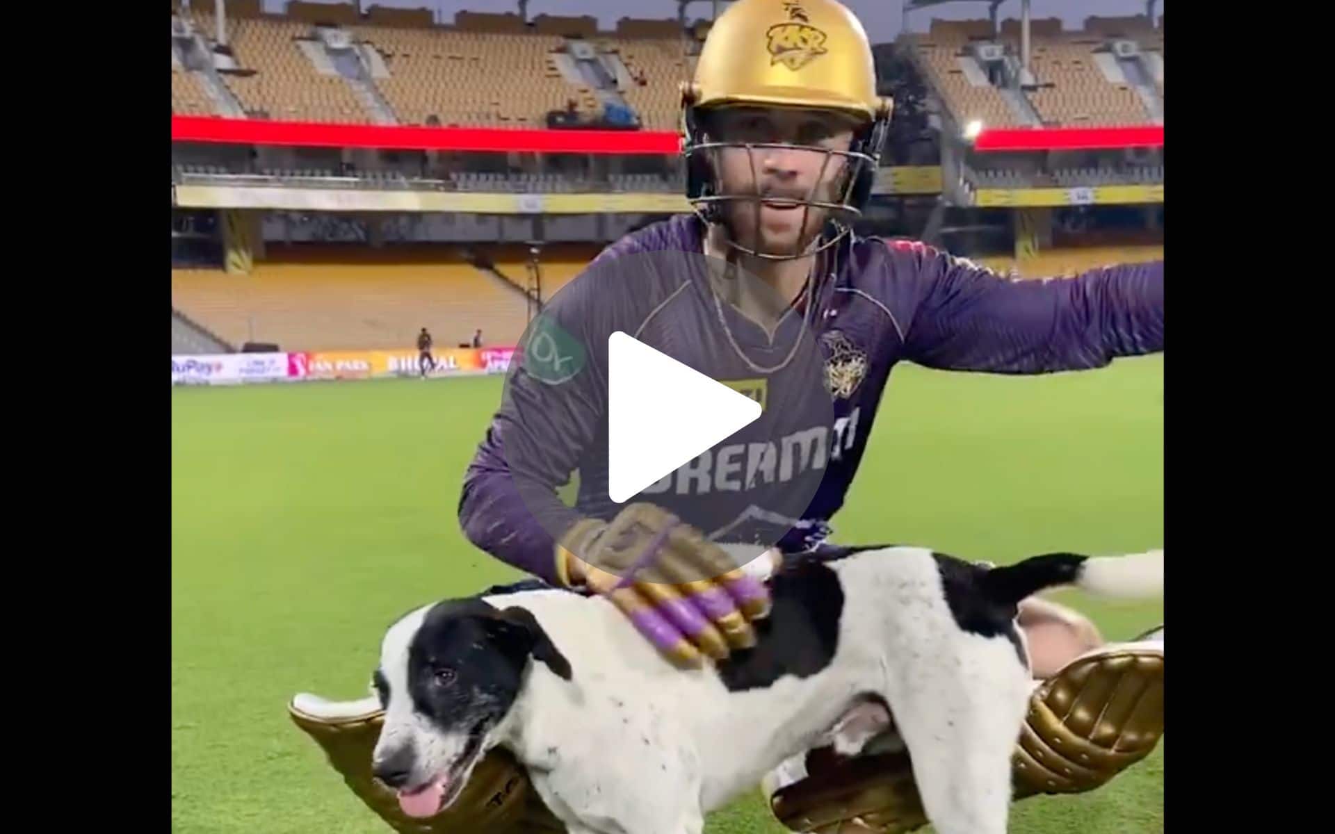 [Watch] Phil Salt Wins Fans' Hearts By Playing With An Adorable Puppy During Practice Session