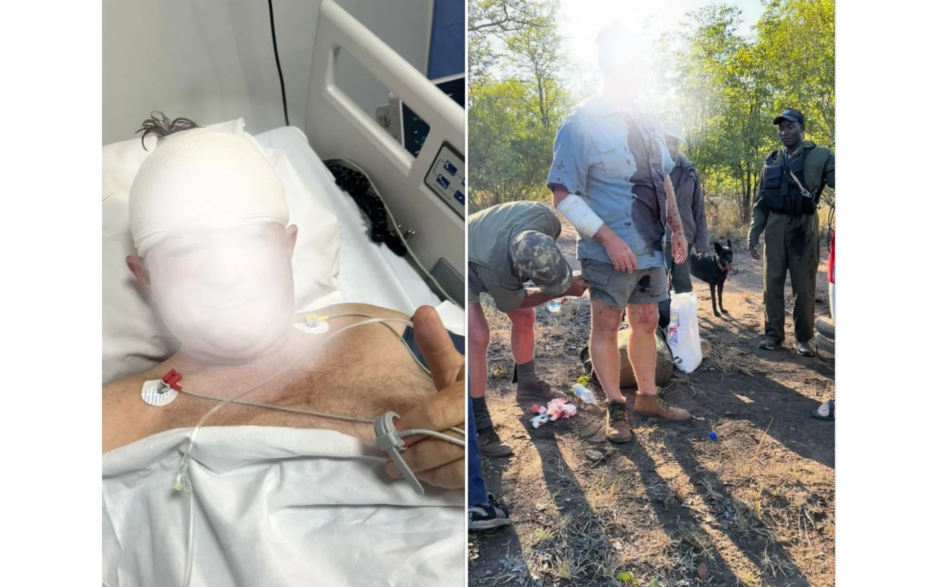 TW: Guy Whittall gets attacked by a leopard (Twitter)
