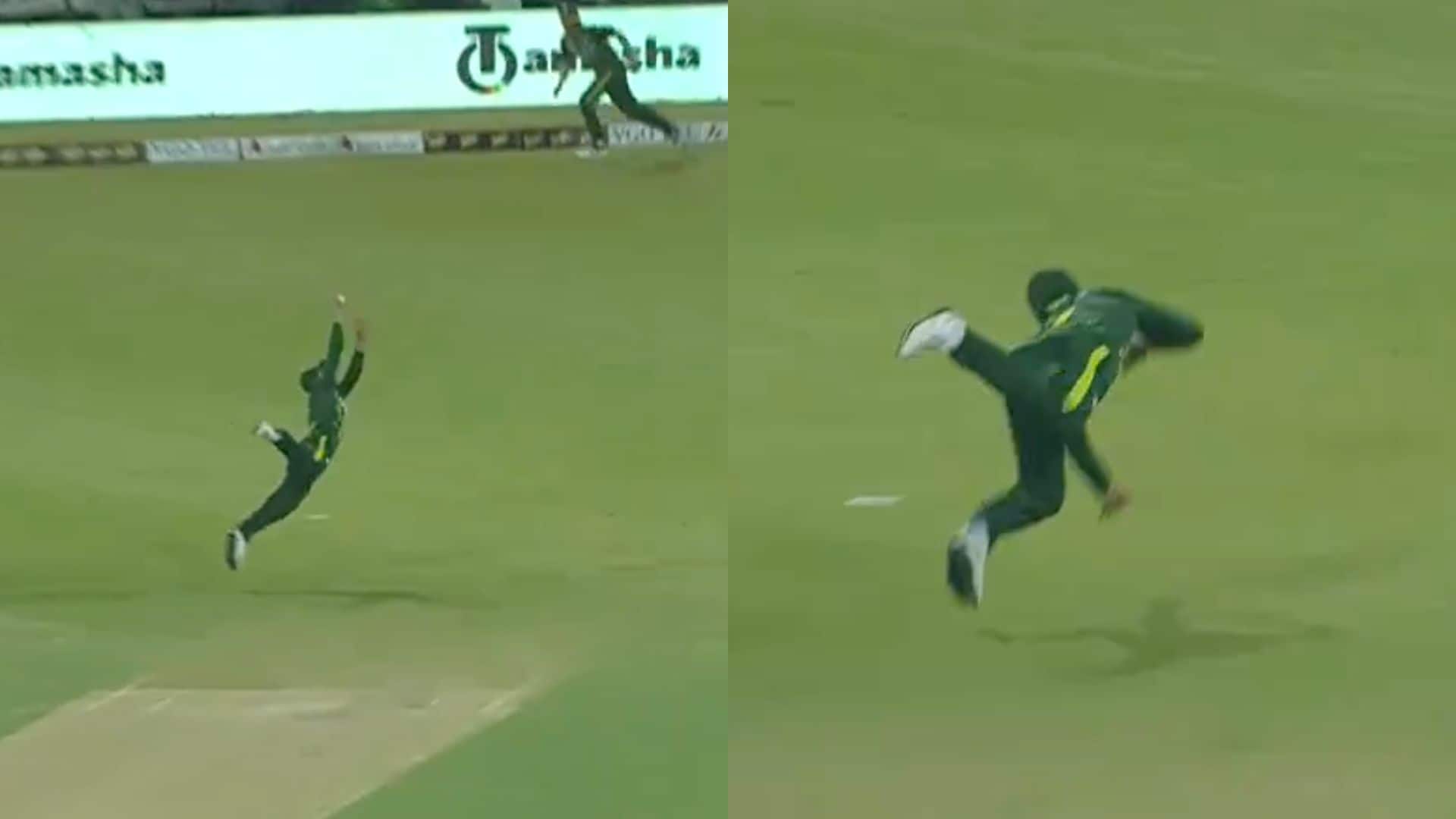 Shadab's clinical catch to get Chapman [X.com]