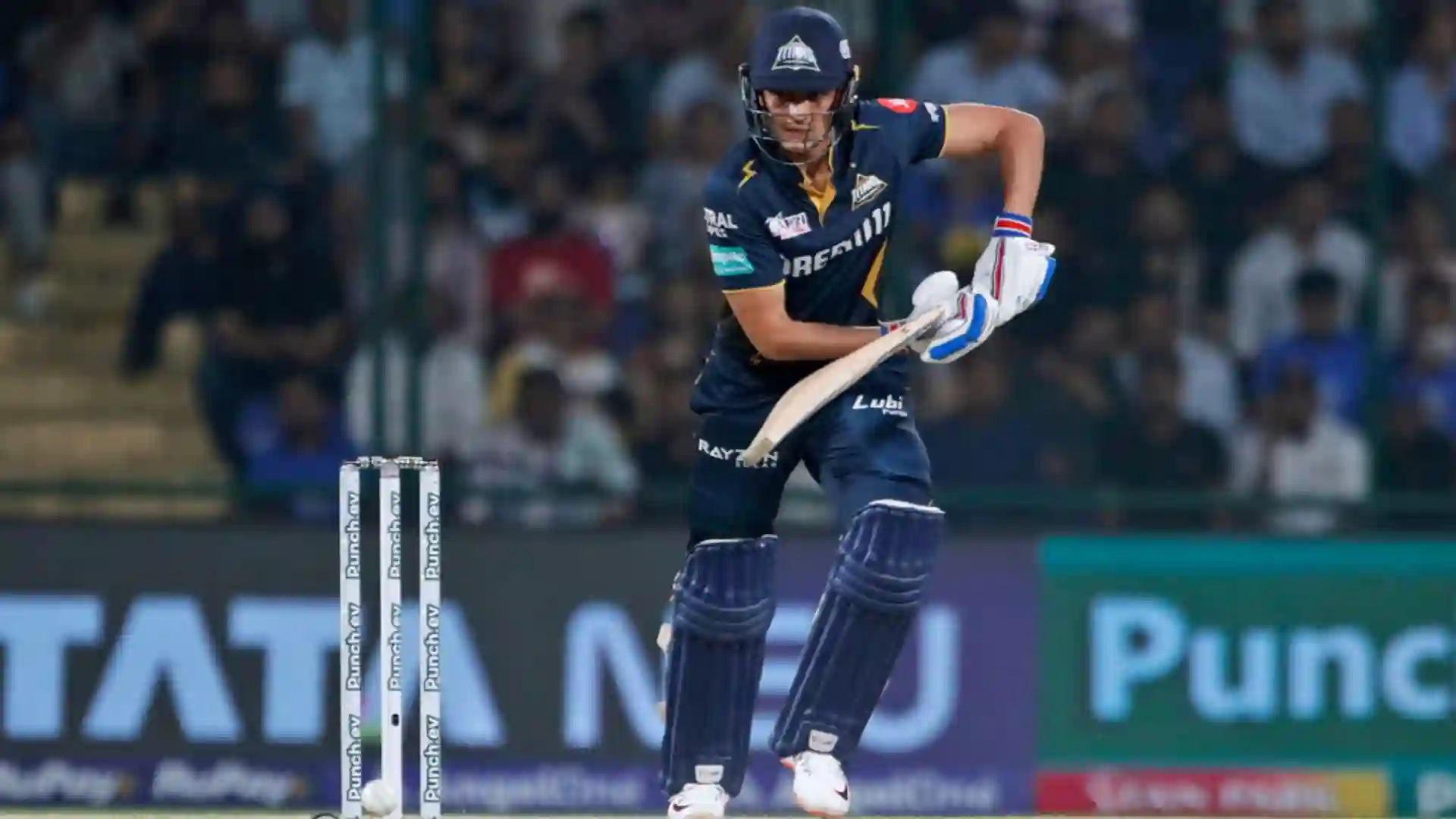 Gill is in scintillating form [AP]