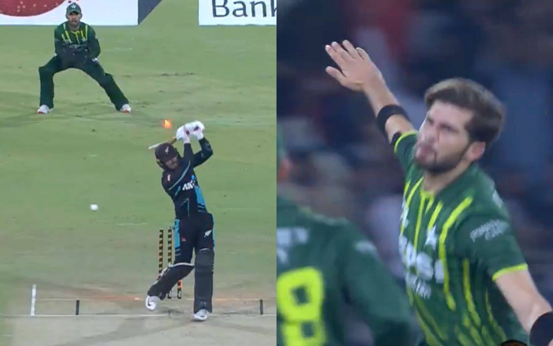 Shaheen Afridi after Blundell's wicket (X.com)