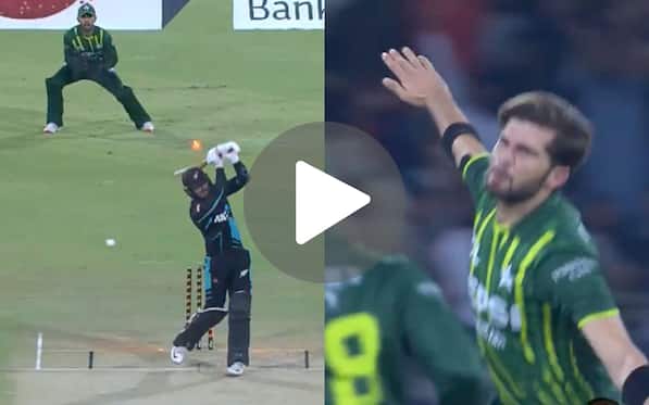 [Watch] Shaheen Afridi 'Flies Like An Eagle' After Dismantling Tom Blundell