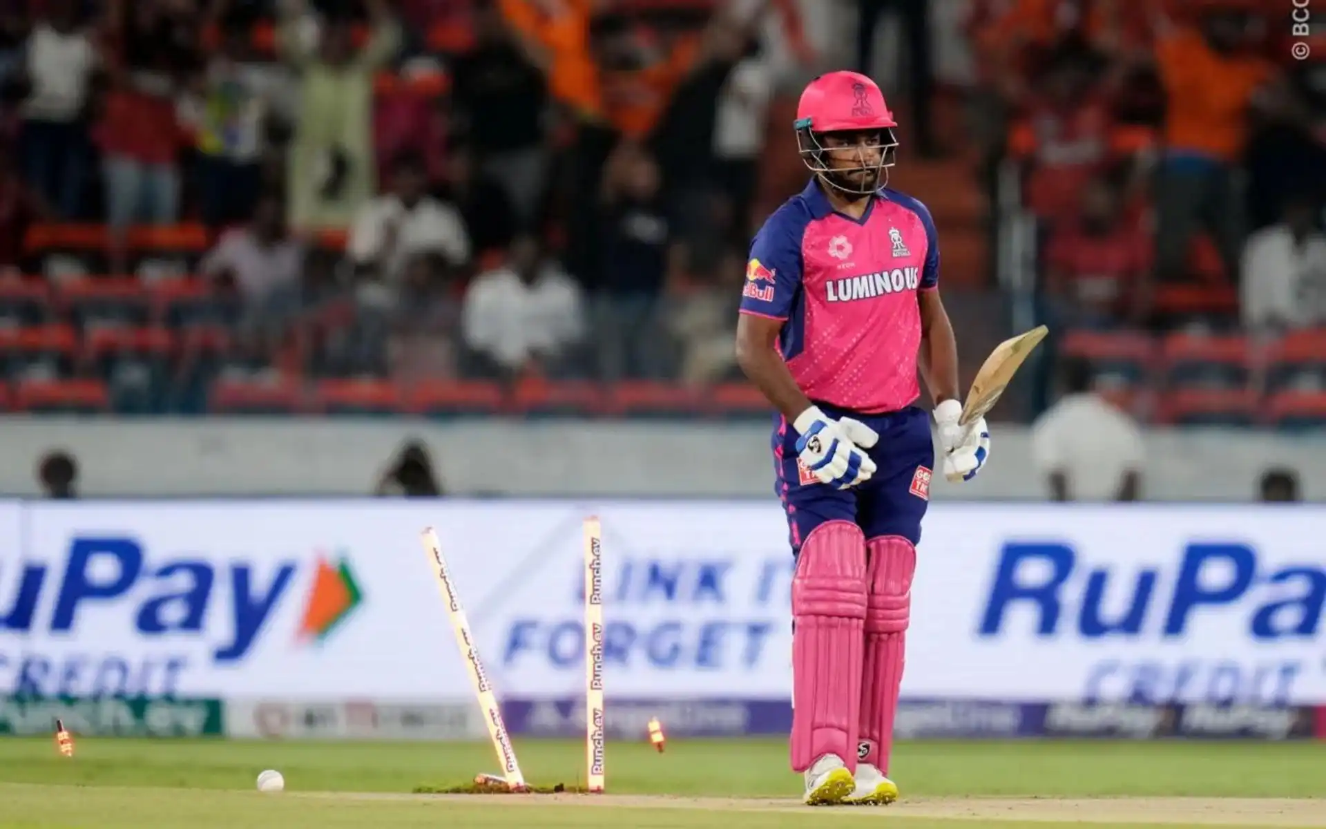 Sanju Samson after getting bowled by Bhuvneshwar Kumar (AP Photos)