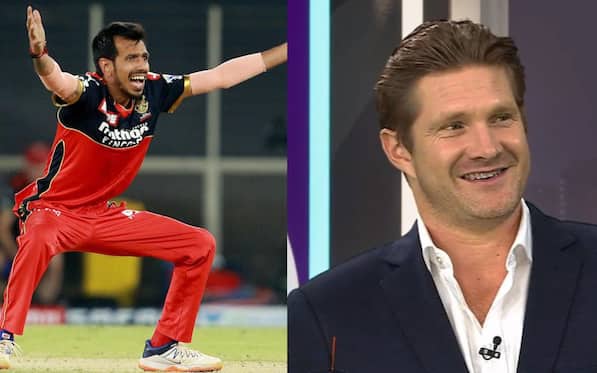 'RCB Doesn't Know Cricket': Shane Watson Trolls IPL Franchise For Dropping Yuzi Chahal