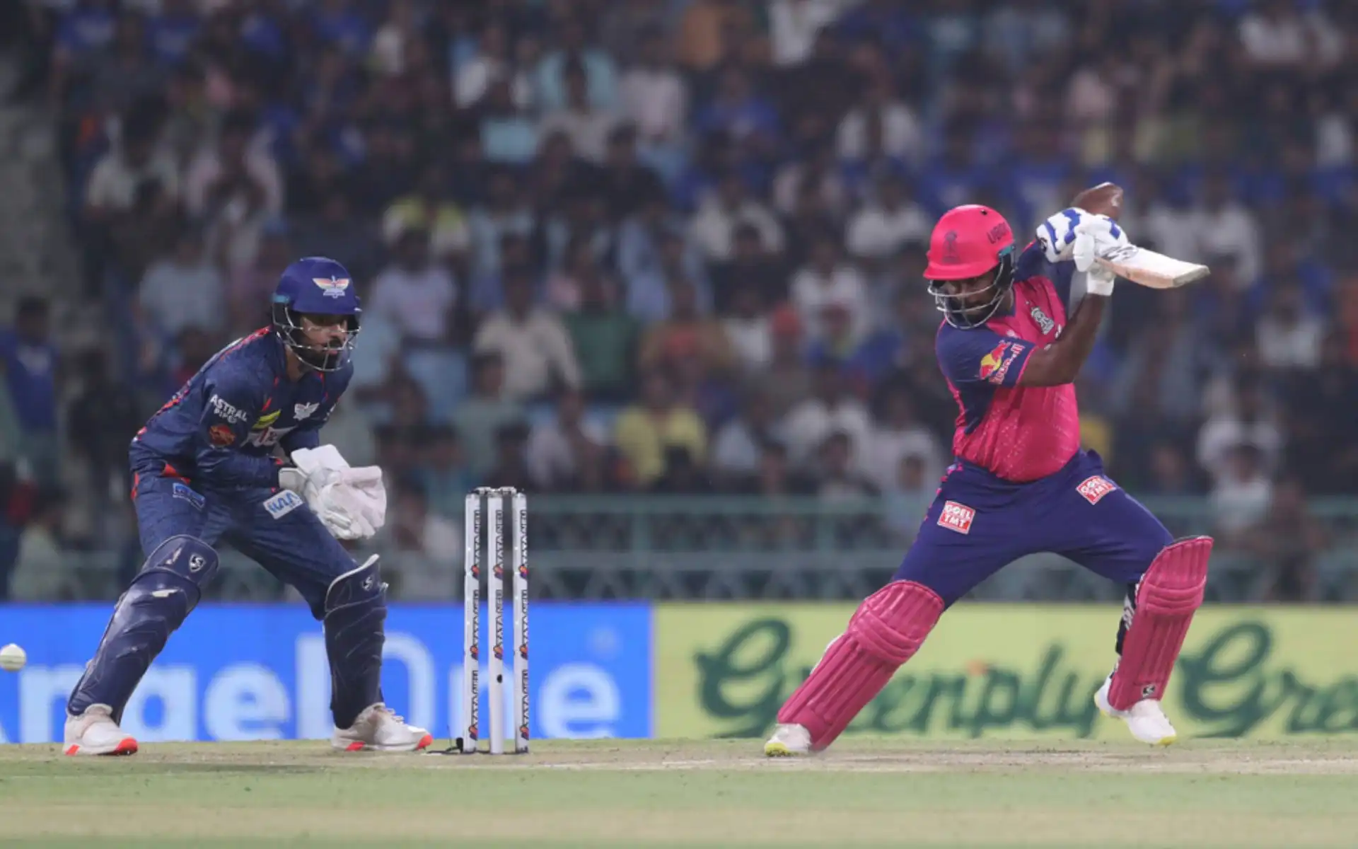 Sanju Samson has been in great form in IPL 2024 [AP Photos]
