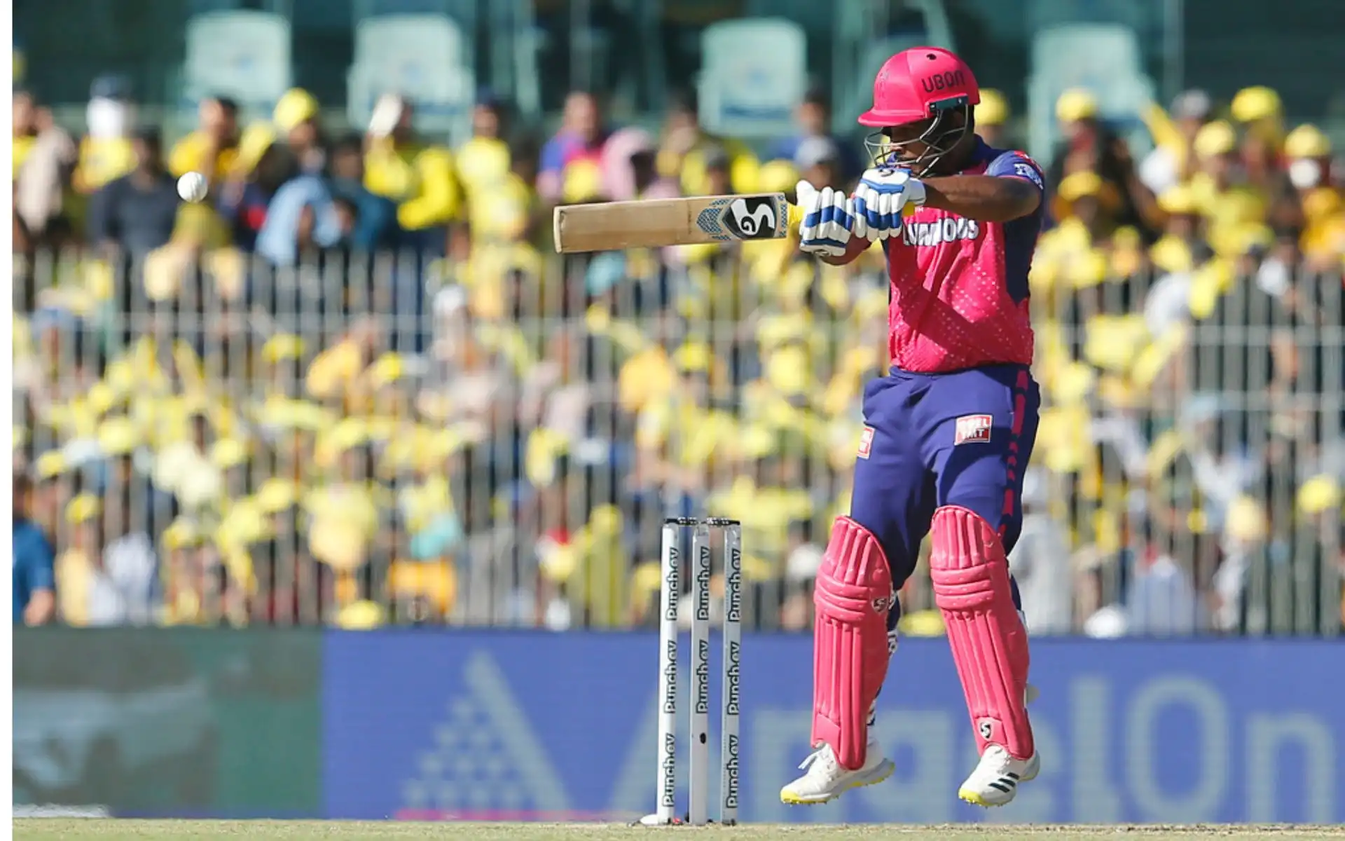 Sanju Samson has been the highest run-scorer for RR in IPL 2024 [AP Photos]
