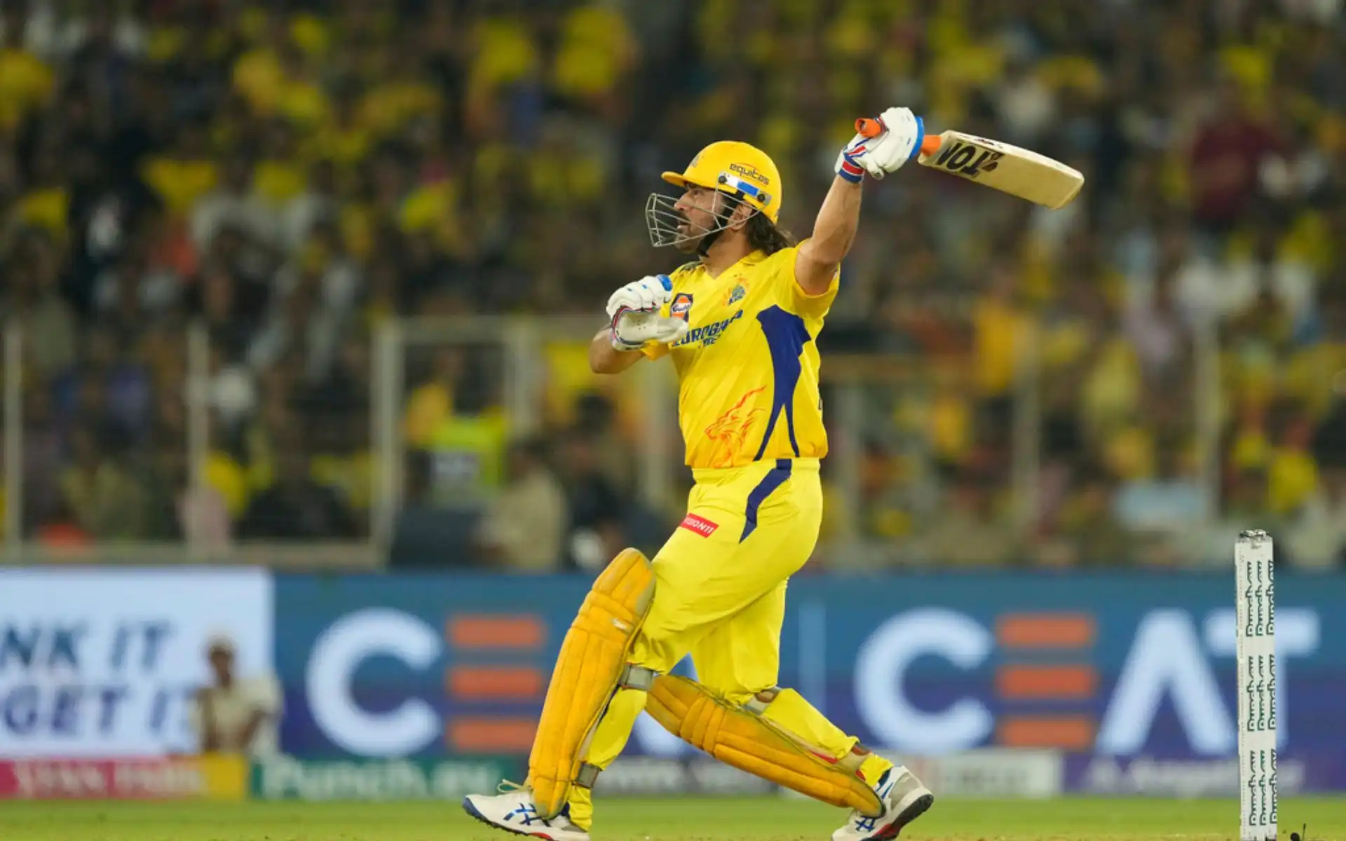 MS Dhoni in IPL 2024 [AP]