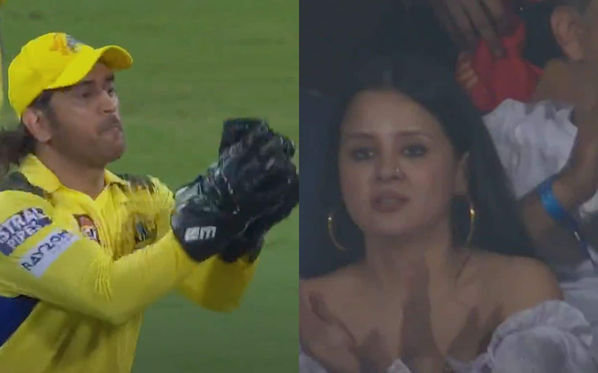 MS Dhoni taking Maxwell's catch (X.com)