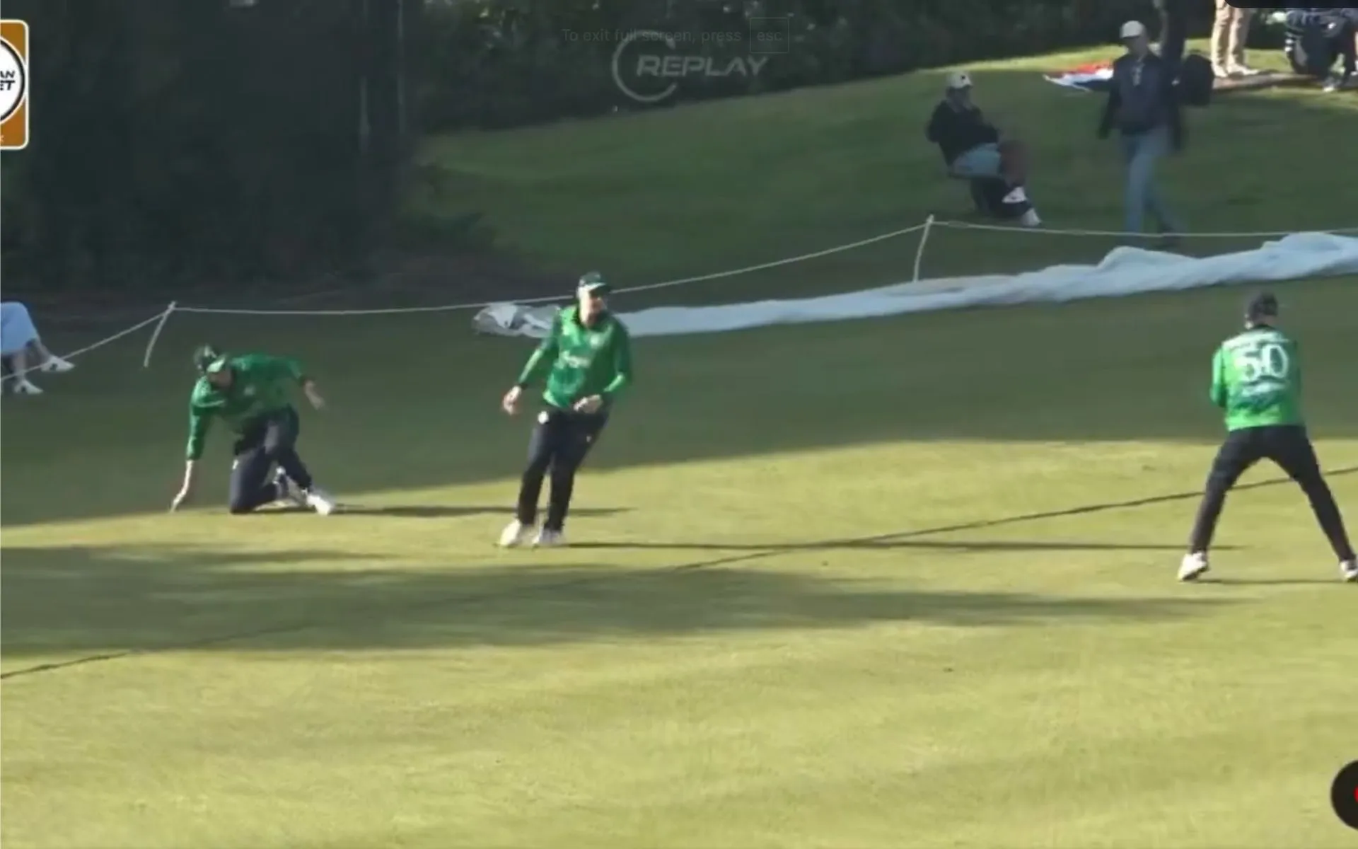 Adair's all-round heroics propelled Ireland to a win (x.com)