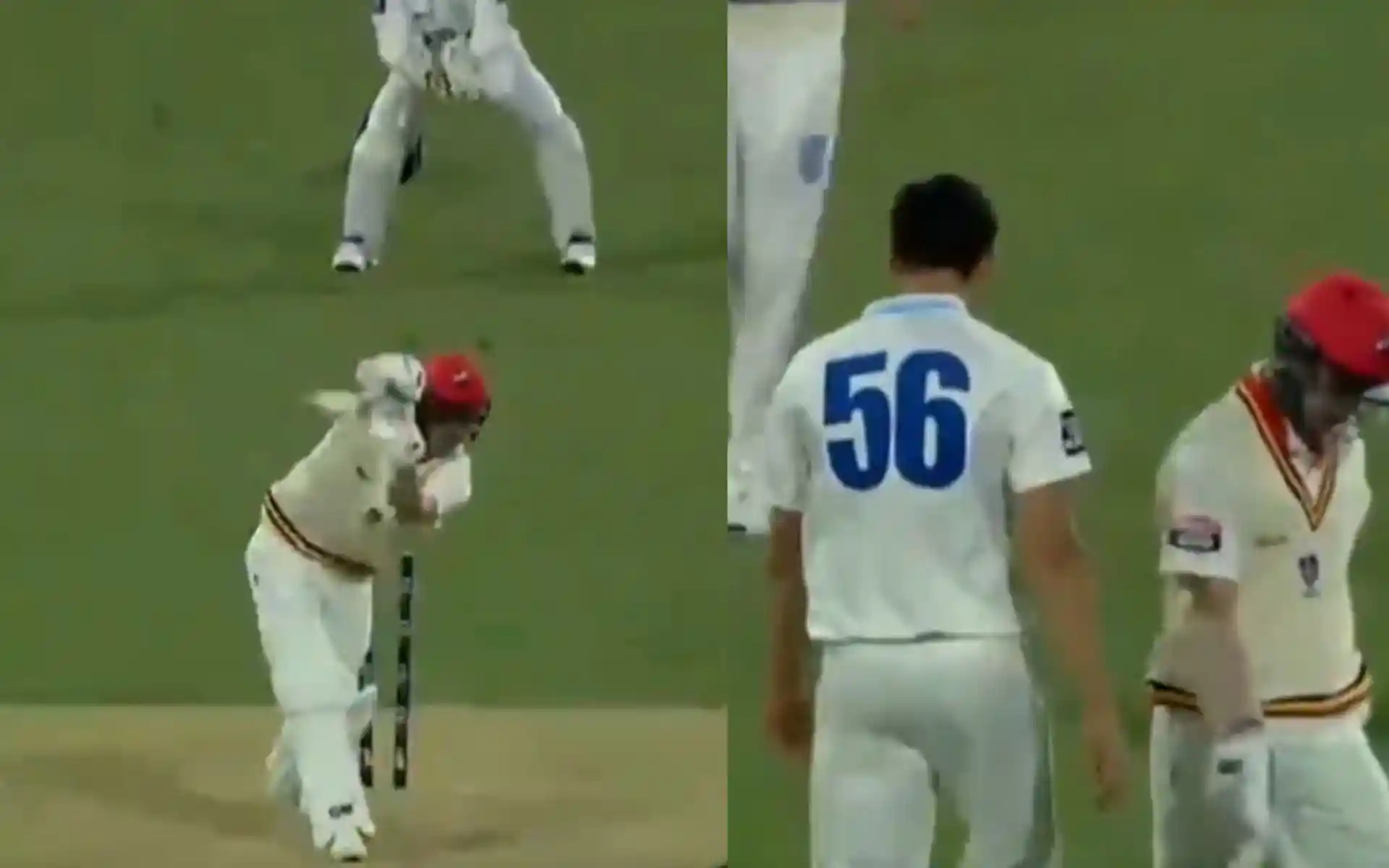 Mitchell Starc-Travis Head tense face off in AUS domestic league (X.com)