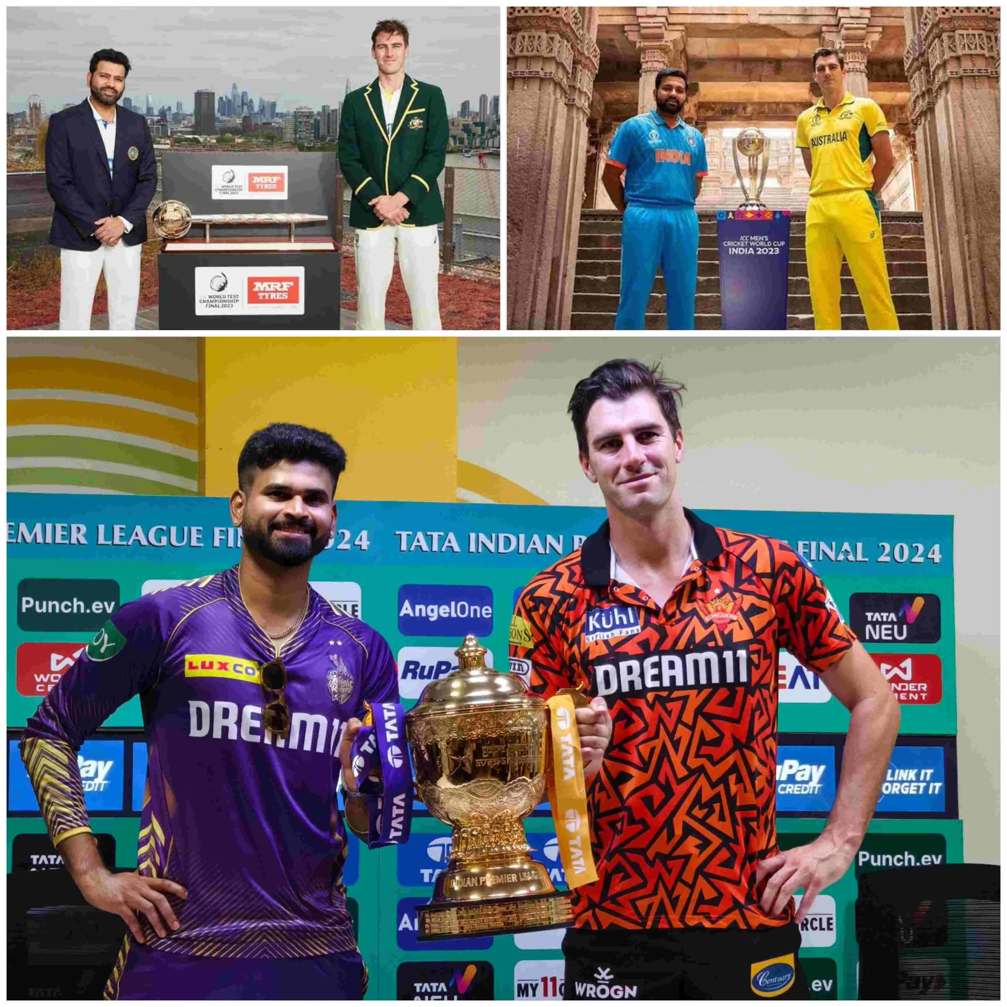 Pat Cummins led SRH had reached the finals of IPL (X)
