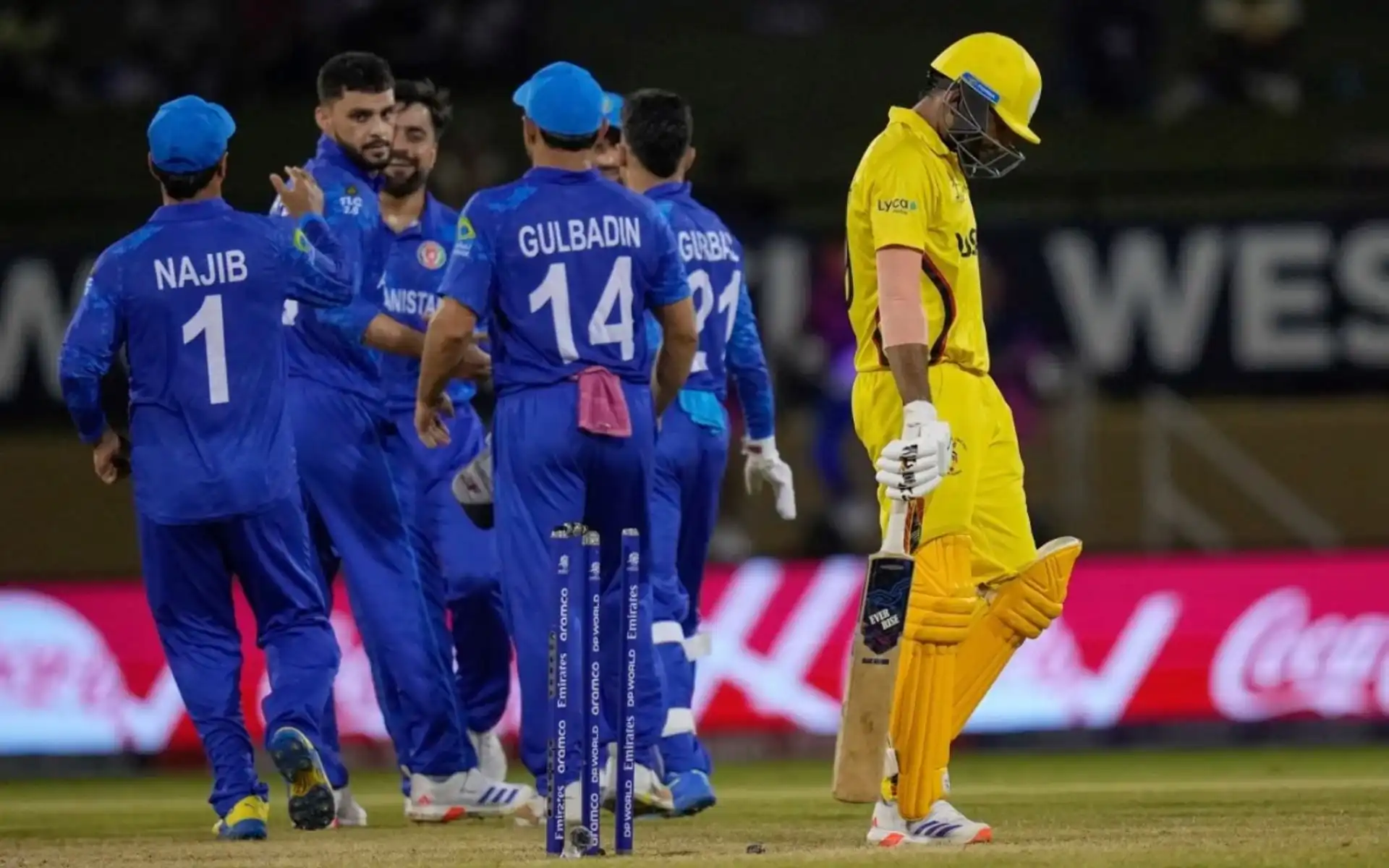 Afghanistan players celebrating a wicket against Uganda (AP)