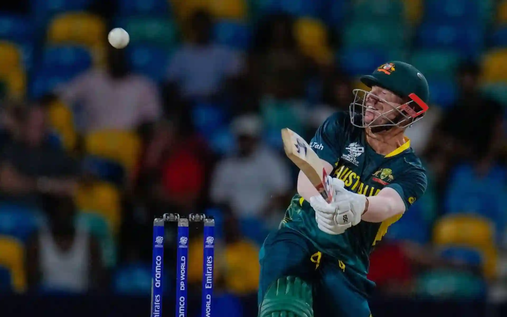 David Warner played a crucial knock for Australia against Oman [X]