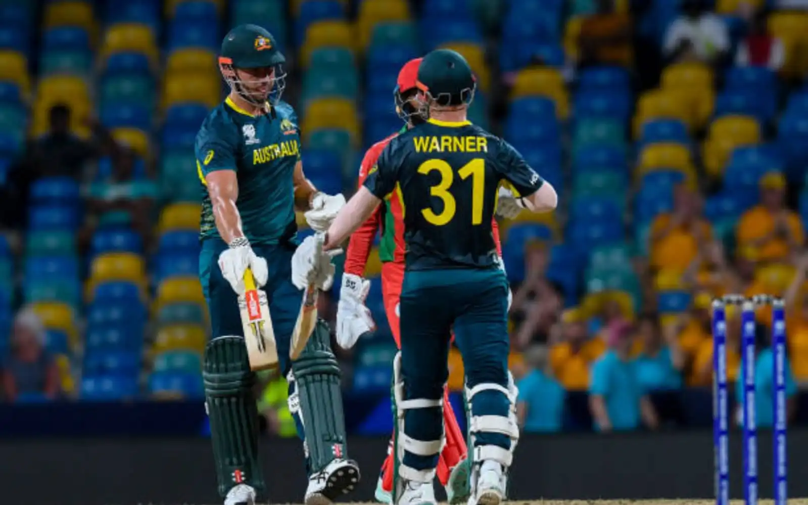 David Warner and Marcus Stoinis lead Australia's recovery vs Oman [X]