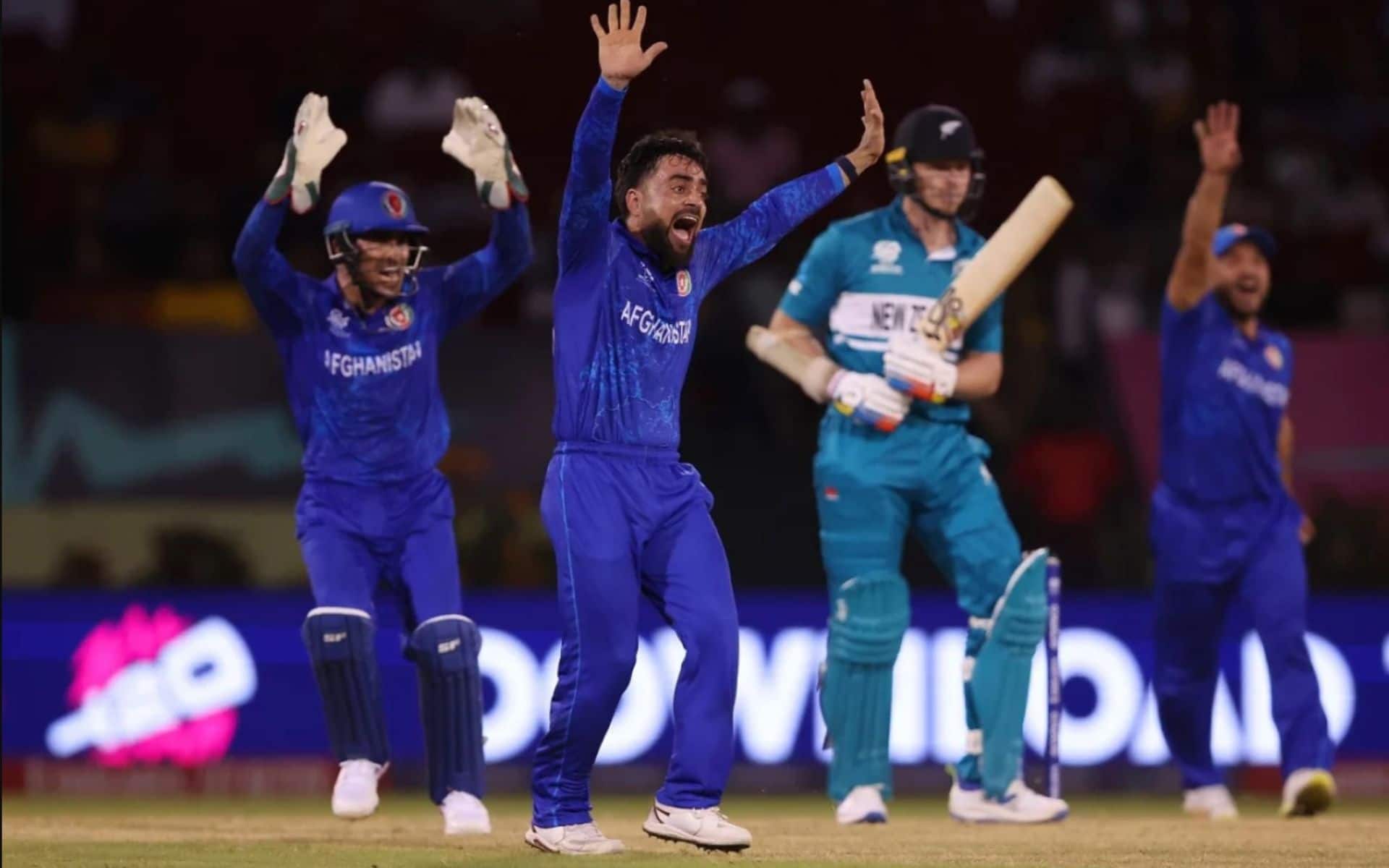 Rashid Khan appealing for a New Zealand wicket (x.com)