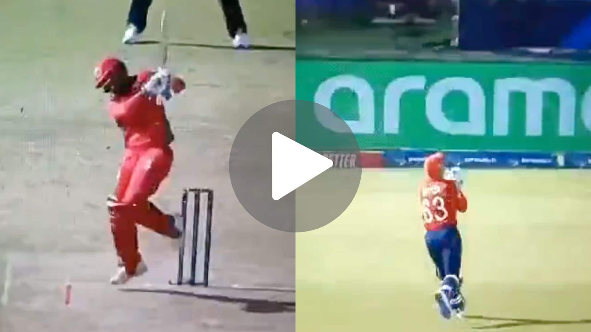 [Watch] Archer's Deadly Bouncer Does The Trick As Oman Get Bowled Out For 47