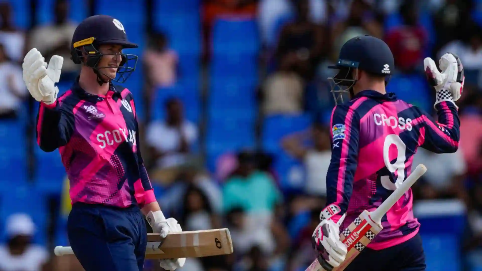 Scotland have been impressive in the WC [AP]