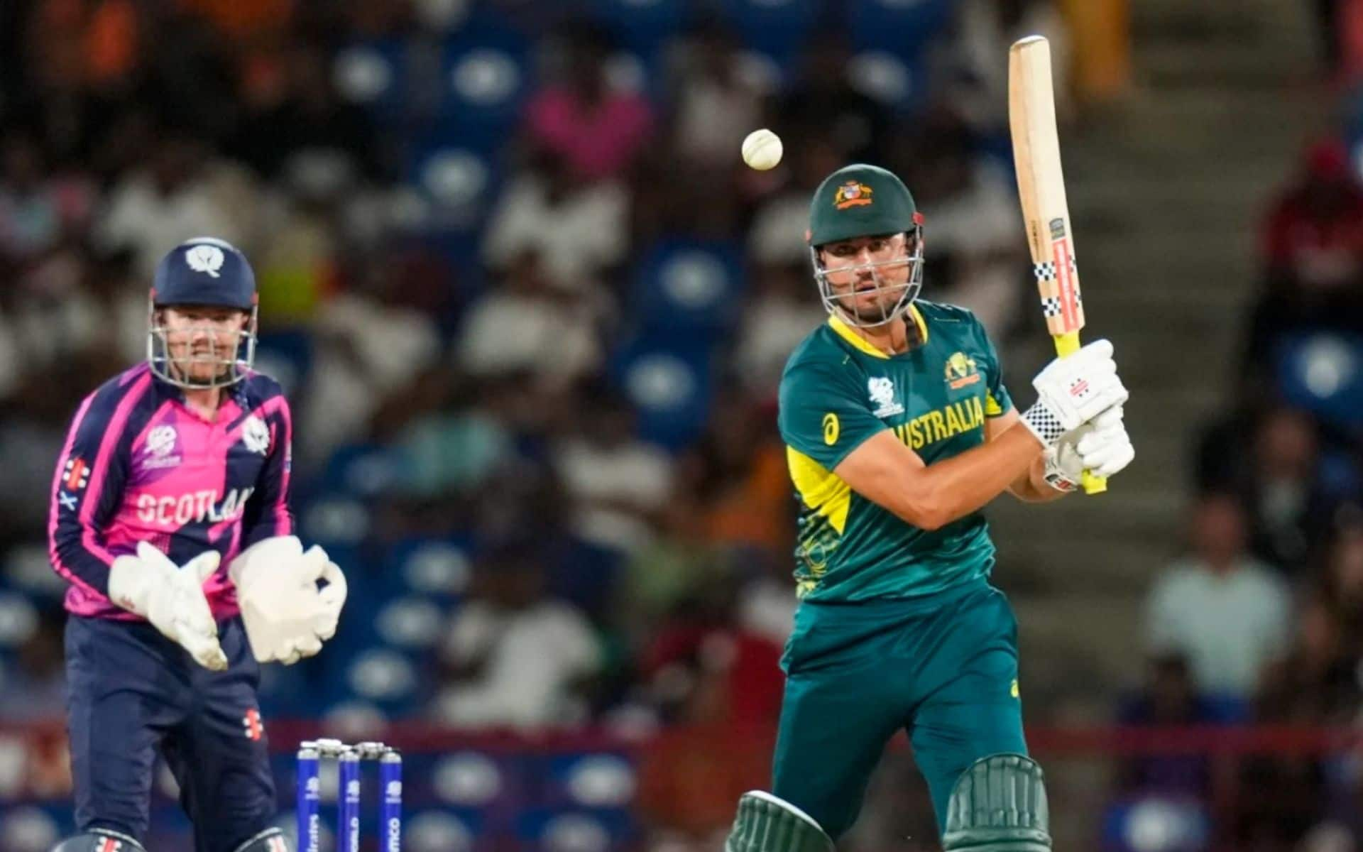 Marcus Stoinis in action against Scotland at the 2024 T20 World Cup (AP)