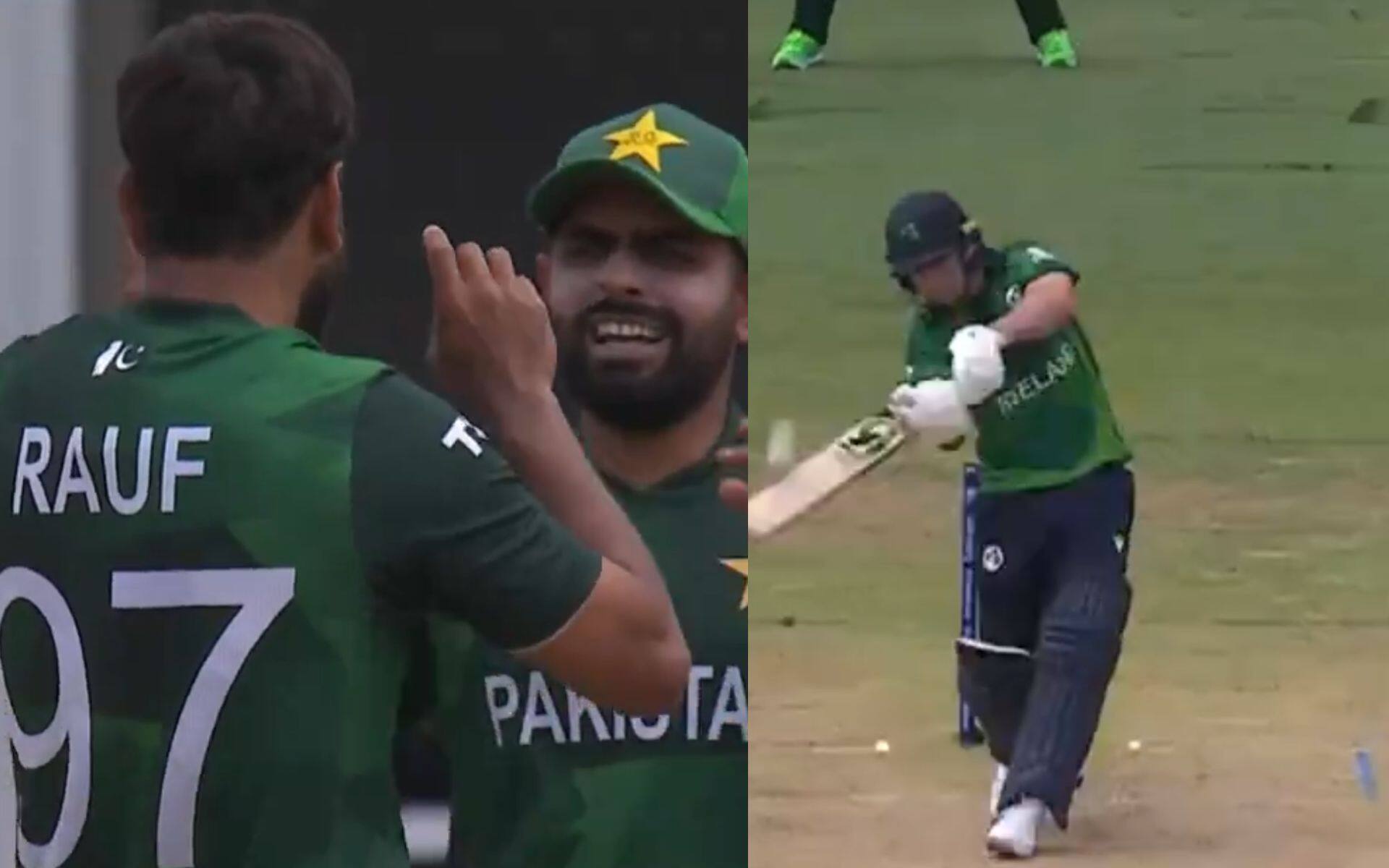 Haris Rauf celebrating wicket of Campher (X.com)