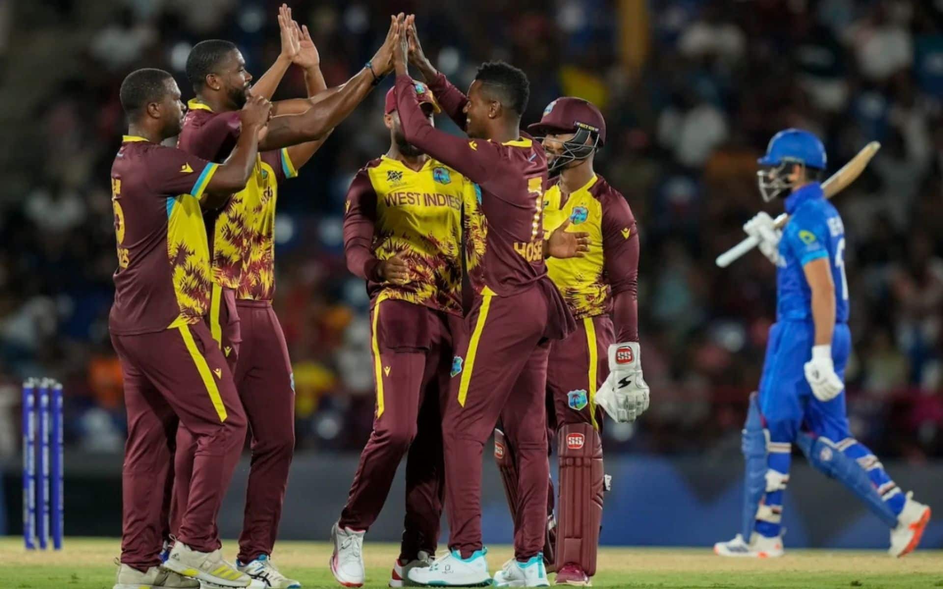 West Indies players celebrating an Afghanistan wicket (AP)