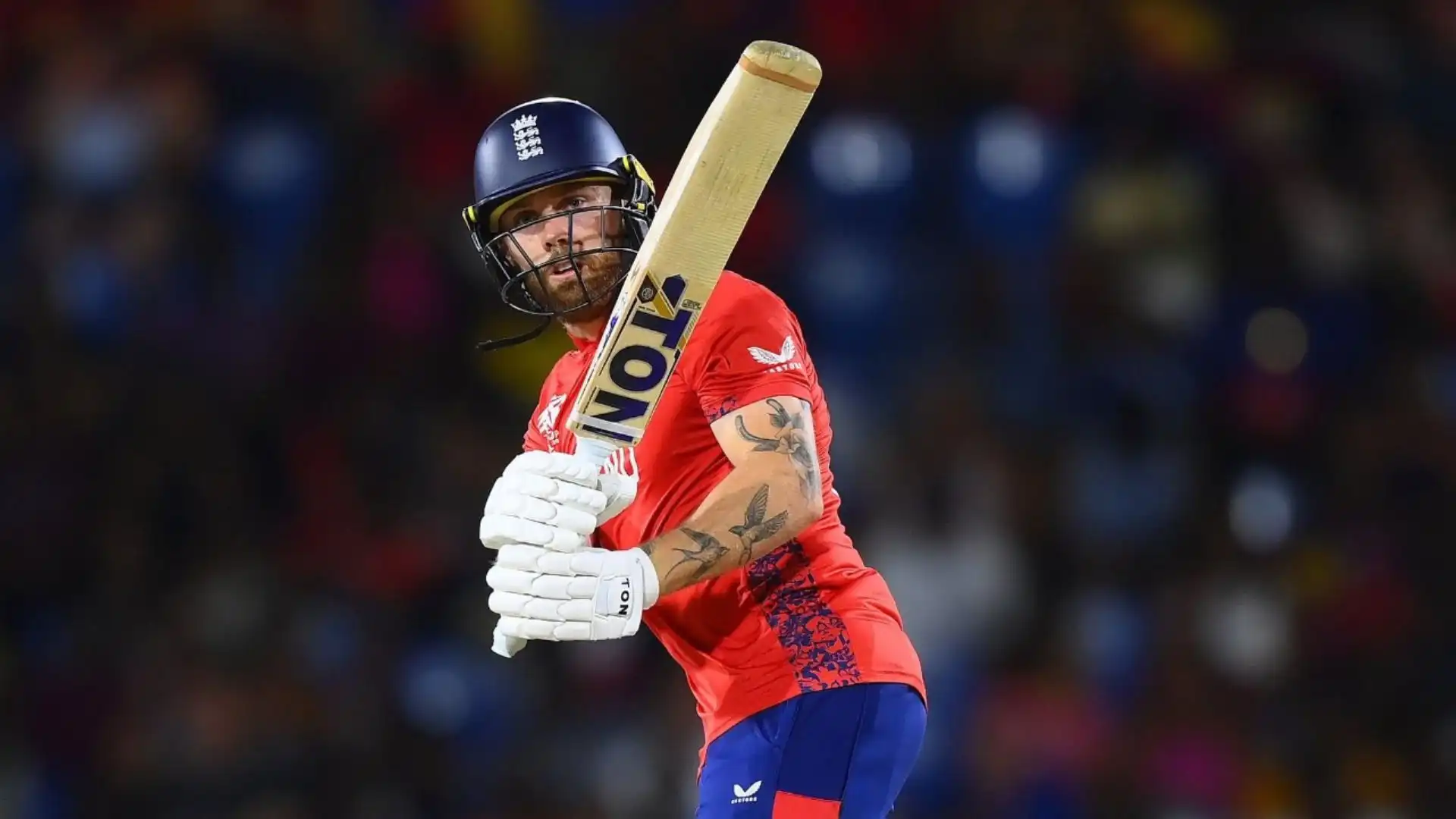 Phil Salt's assault took West Indies by storm (Twitter)