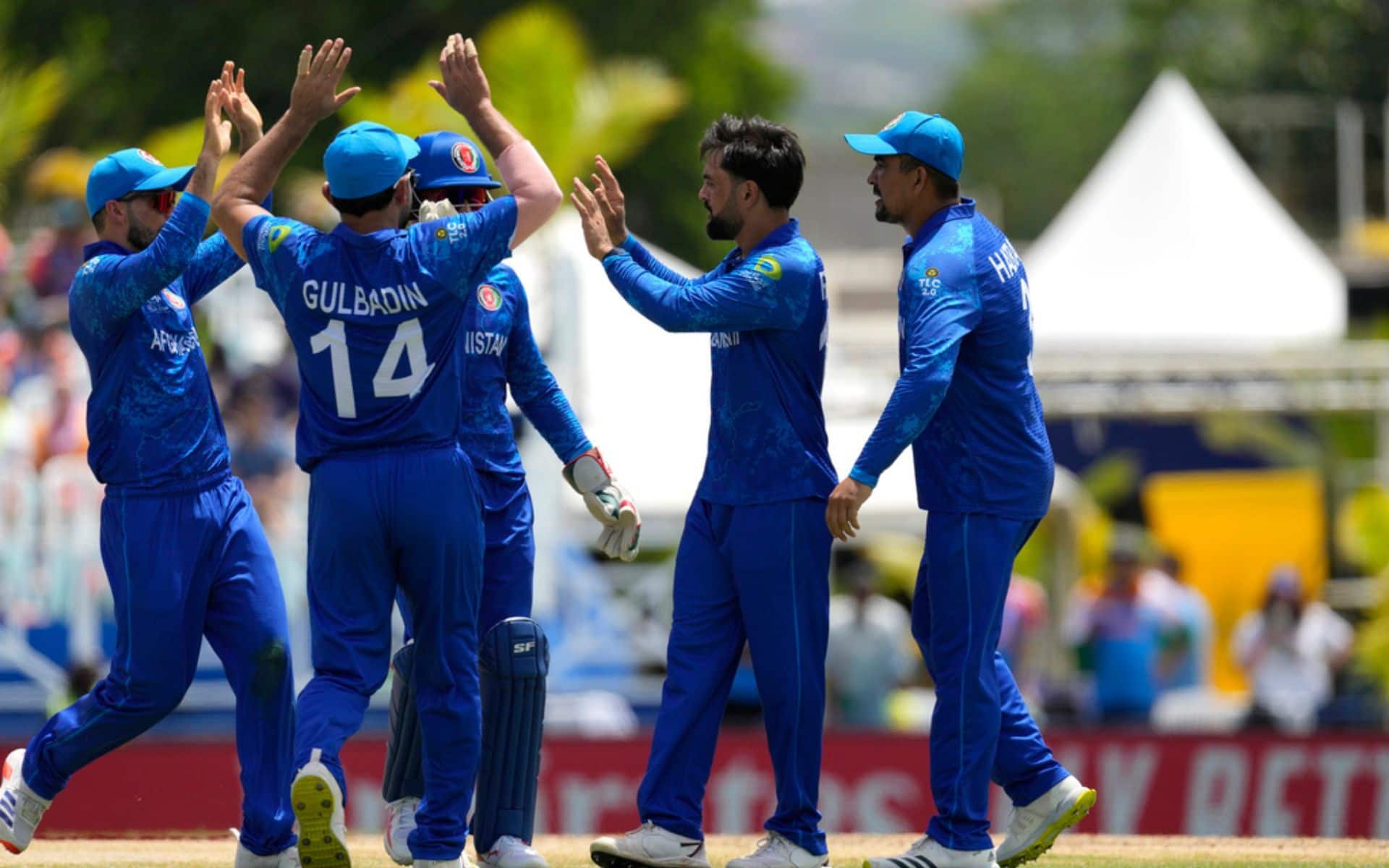 Afghanistan are in the same group as India for Super 8s (AP Photo)