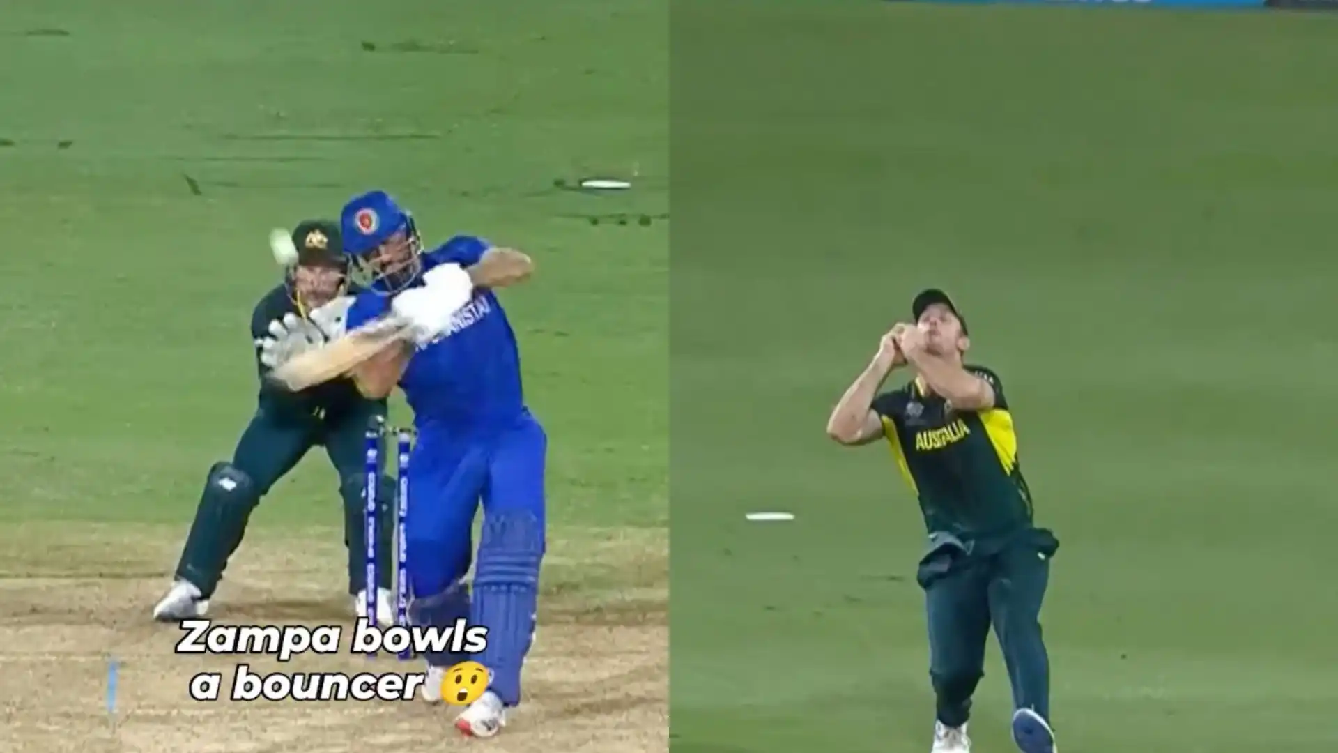 Zampa struck twice in quick succession [X]