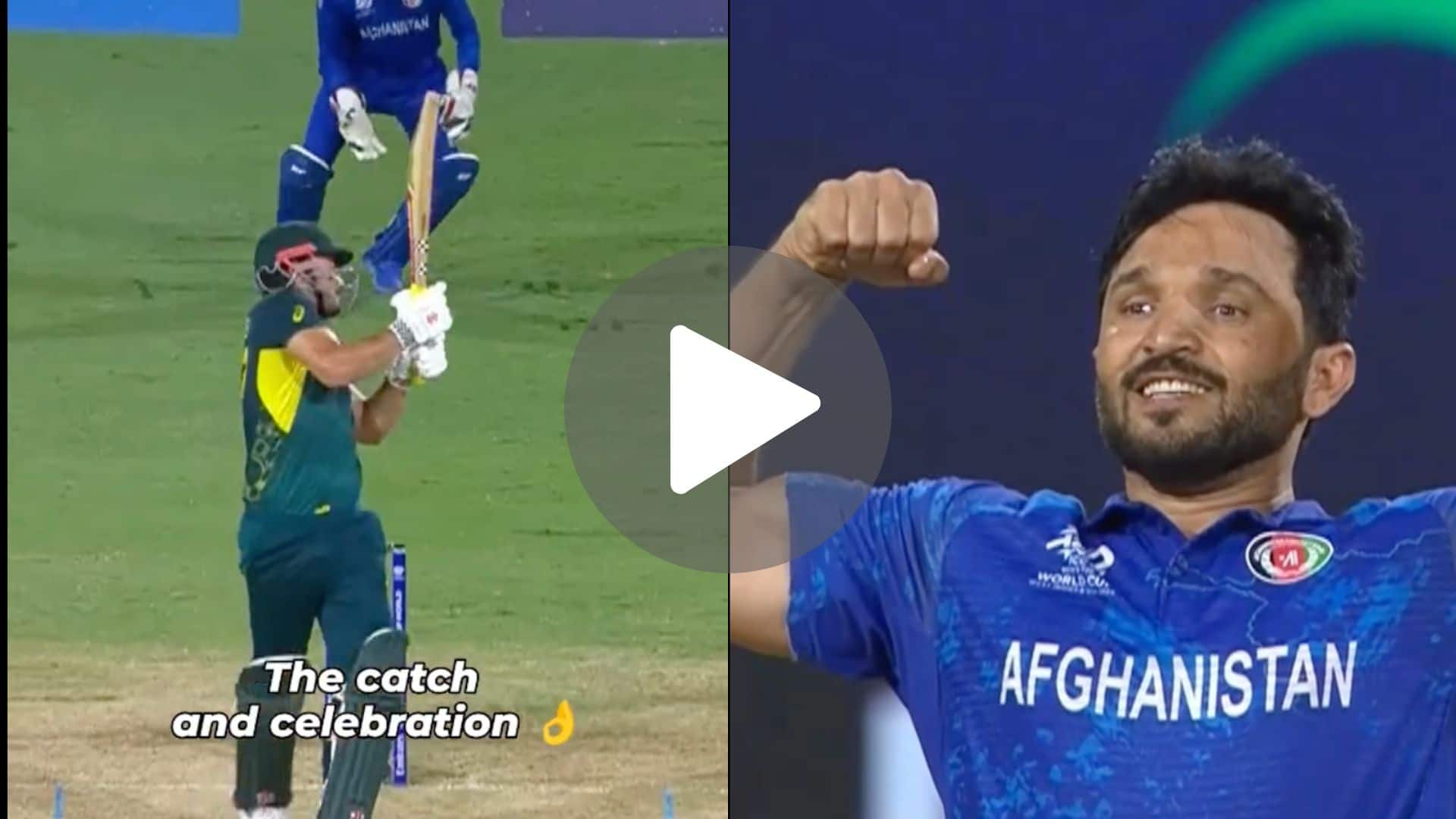 [Watch] Gulbadin Flexes His Muscles After Dismissing Marcus Stoinis With A 'Nasty' Bouncer