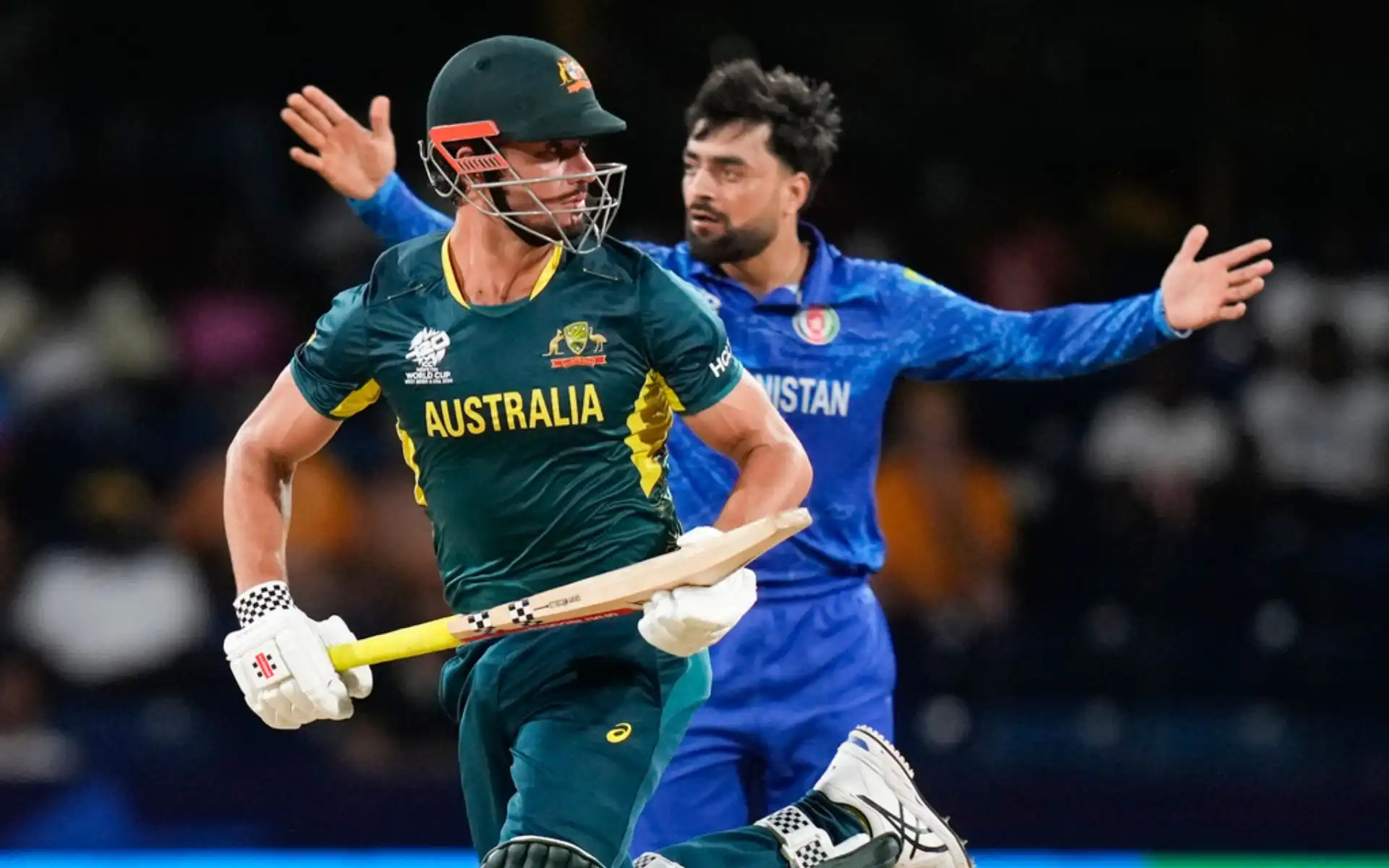 'Couldn't Sleep In Mumbai... Can't Sleep Now': Rashid Khan After Beating Australia